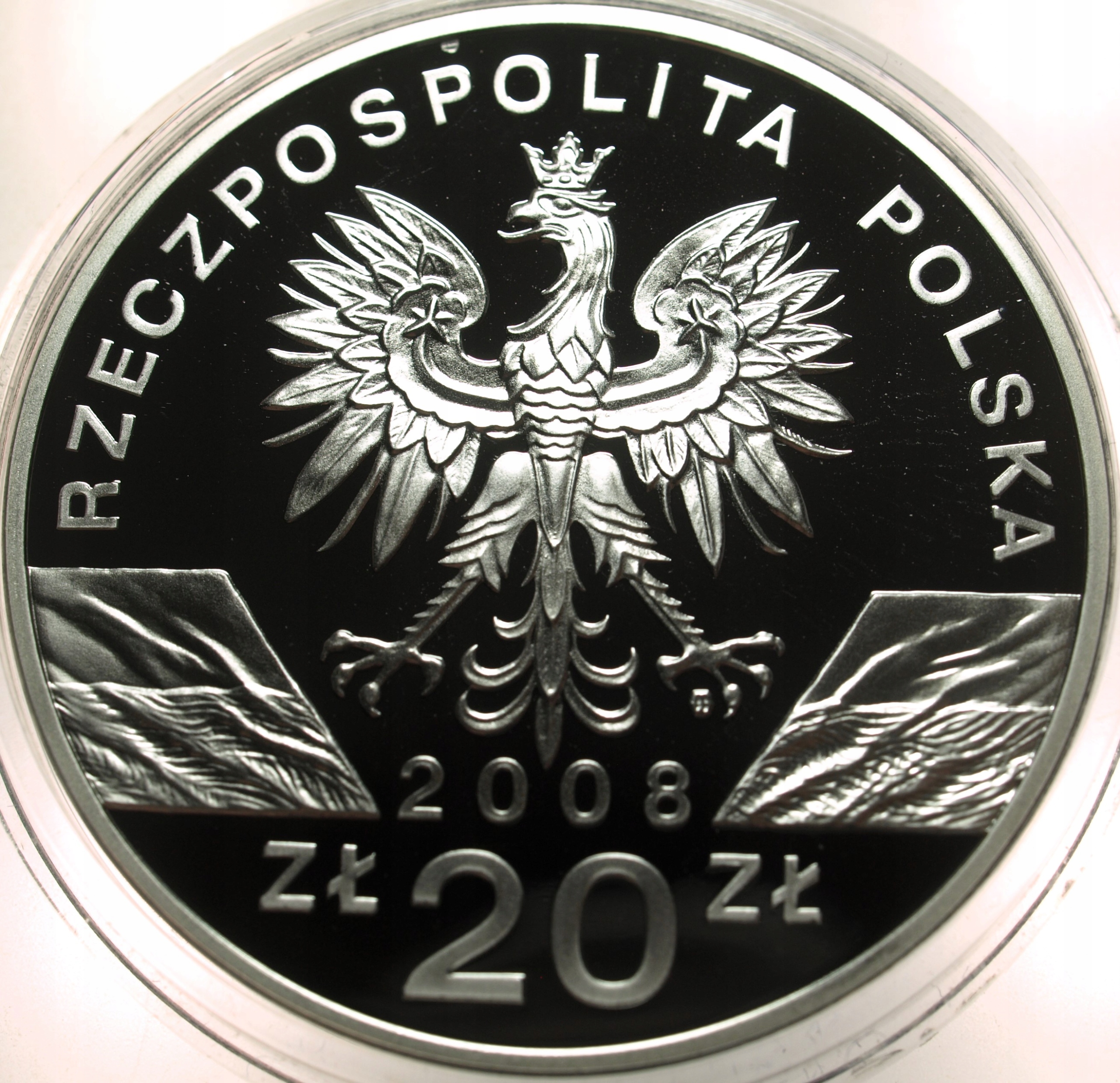 Zdjęcie 17898820249_1