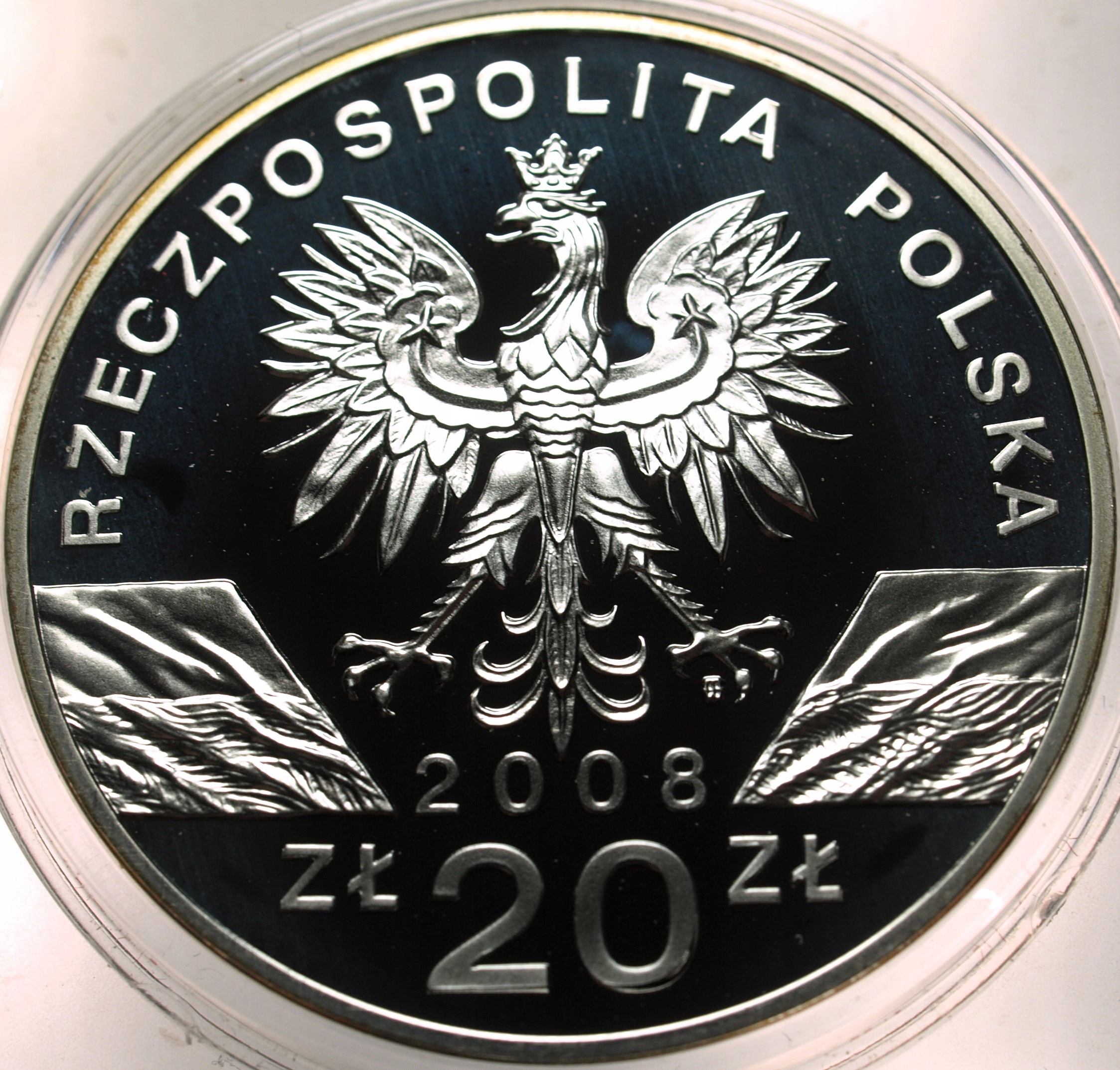 Zdjęcie 17898821832_1