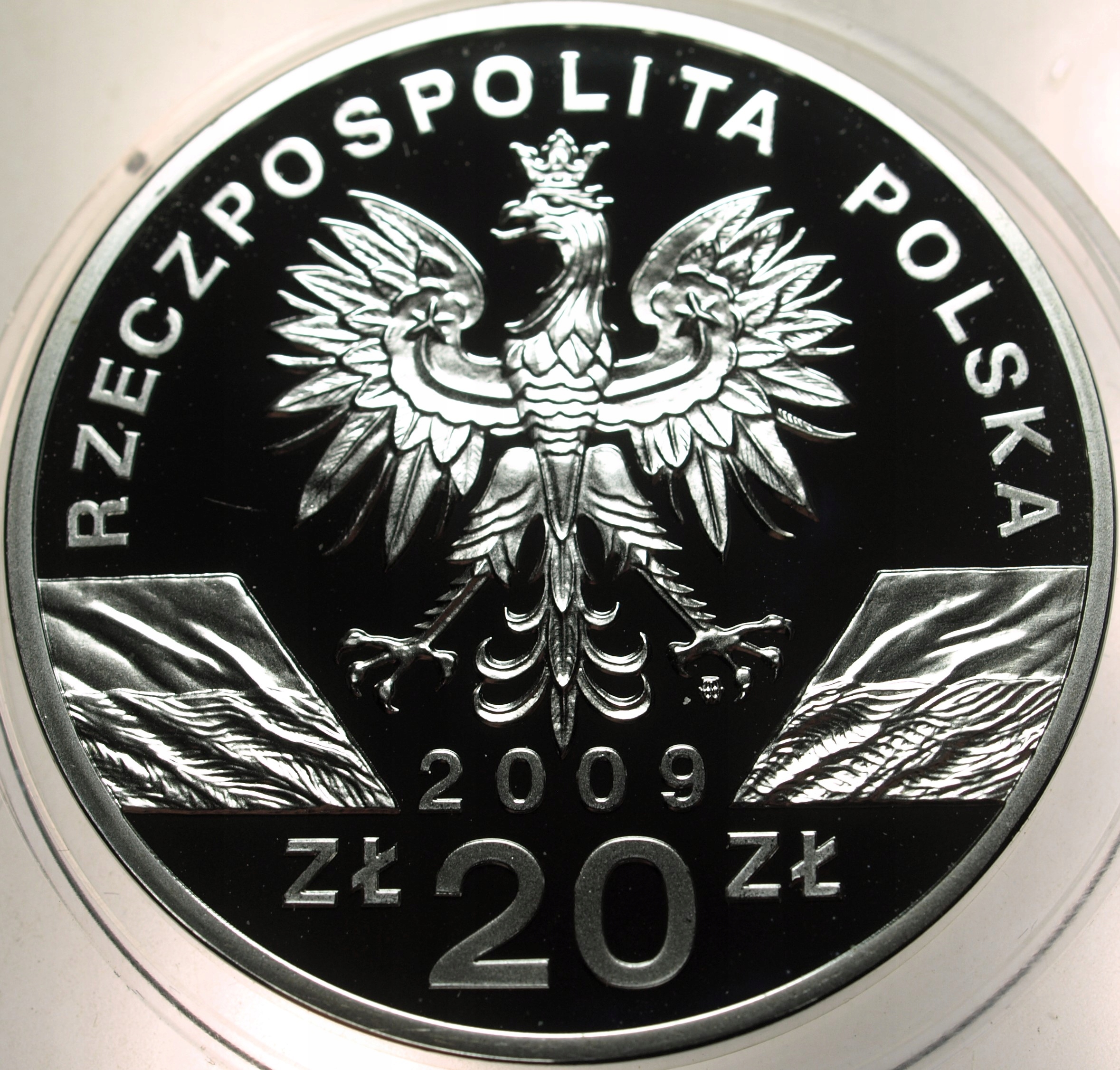 Zdjęcie 17898823961_1
