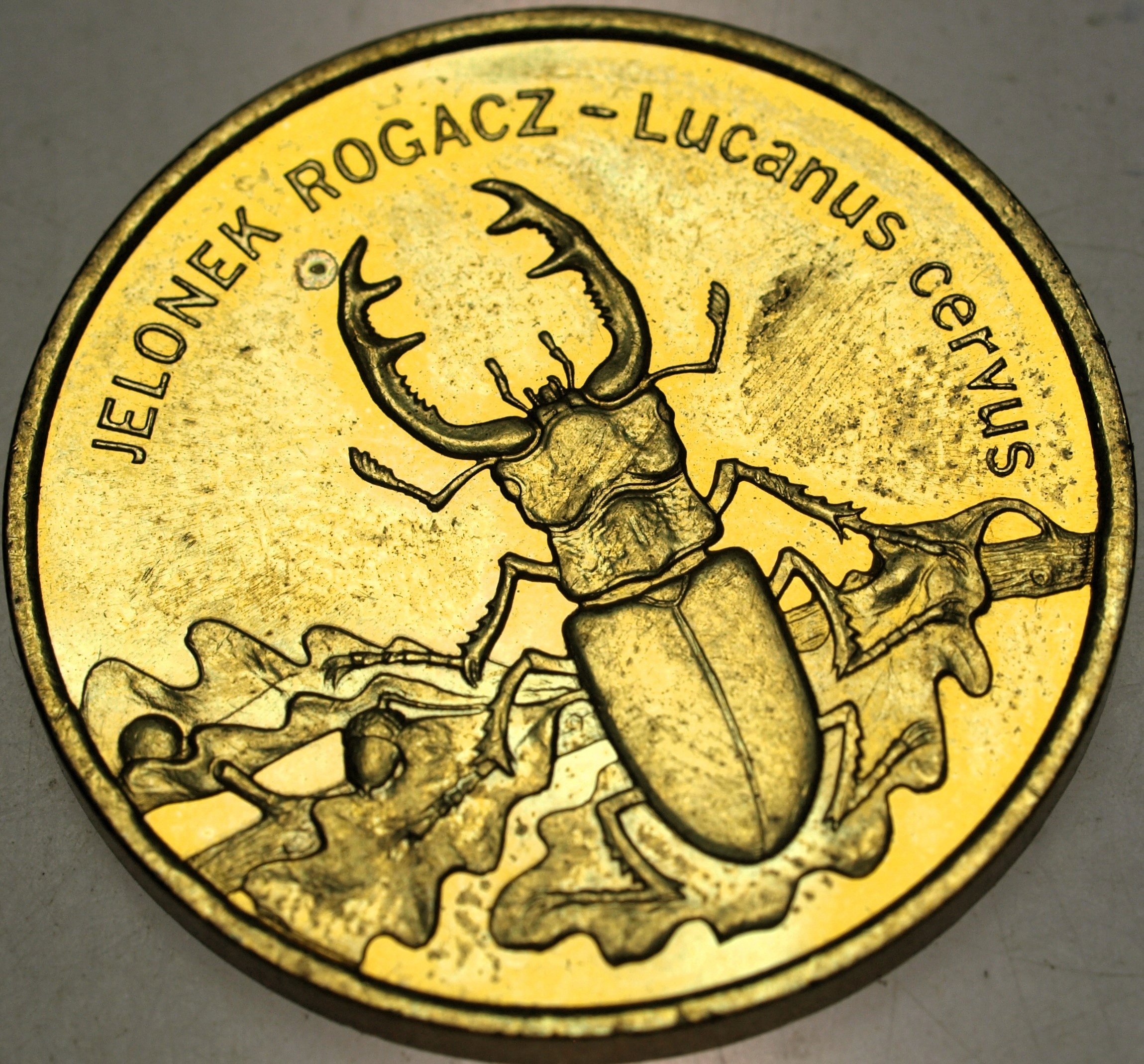 Zdjęcie 17937560245_0