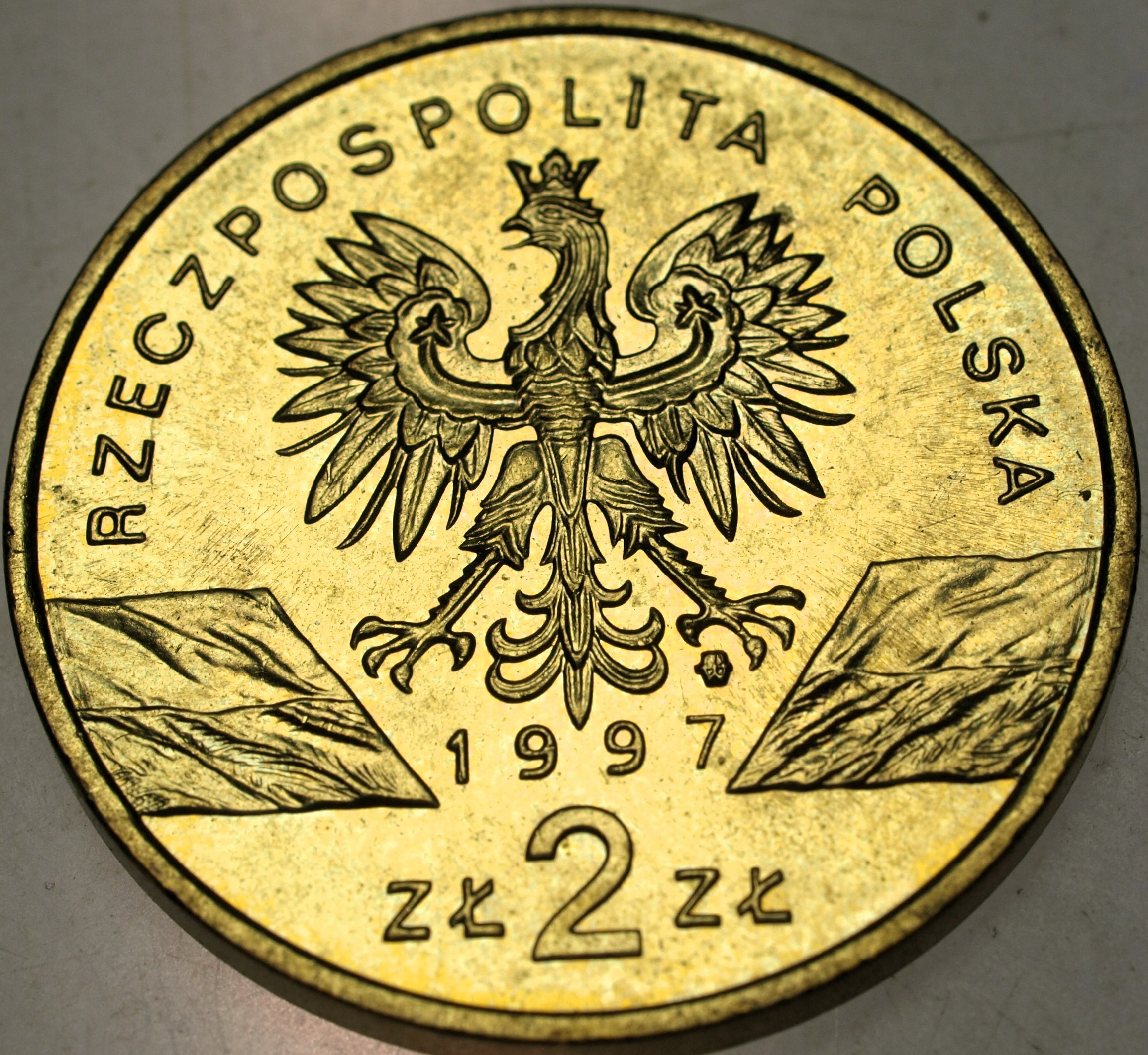 Zdjęcie 17937560245_1