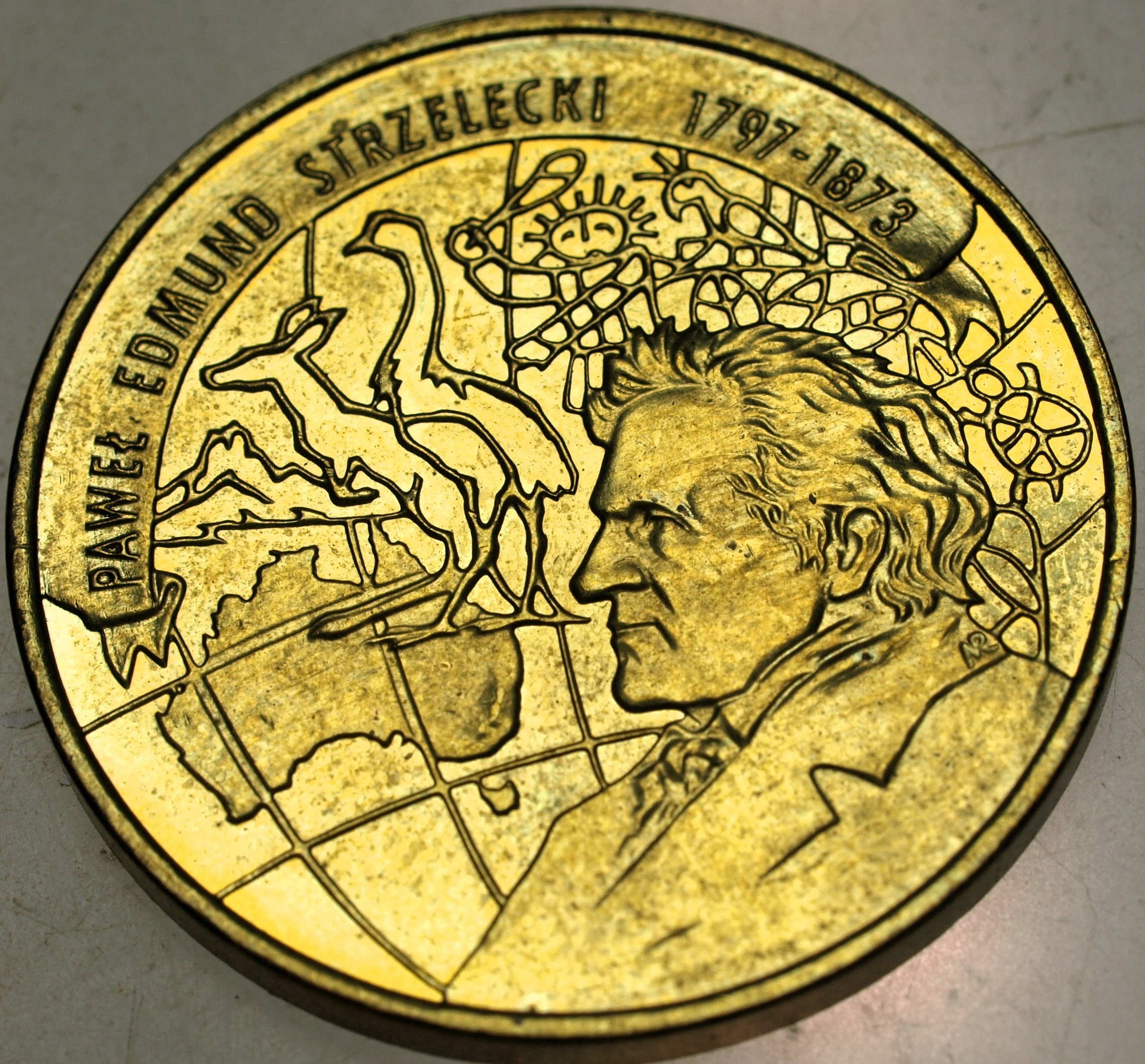 Zdjęcie 17937563148_0