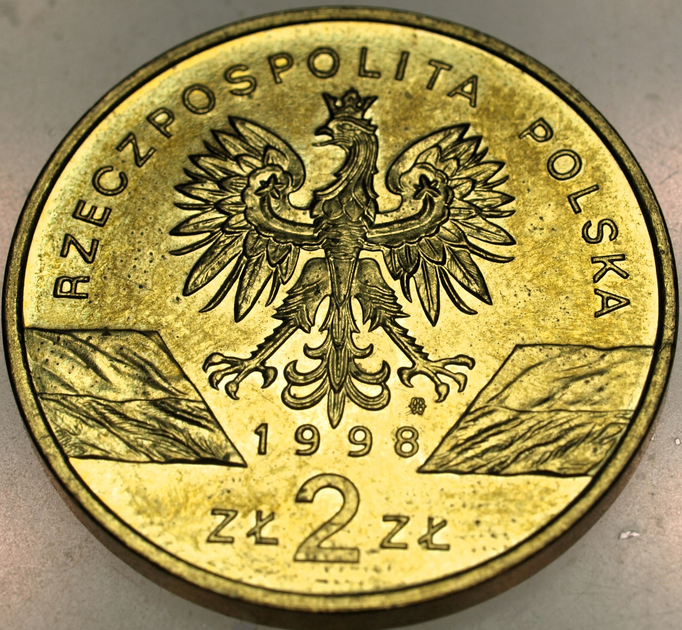 Zdjęcie 17937572589_1