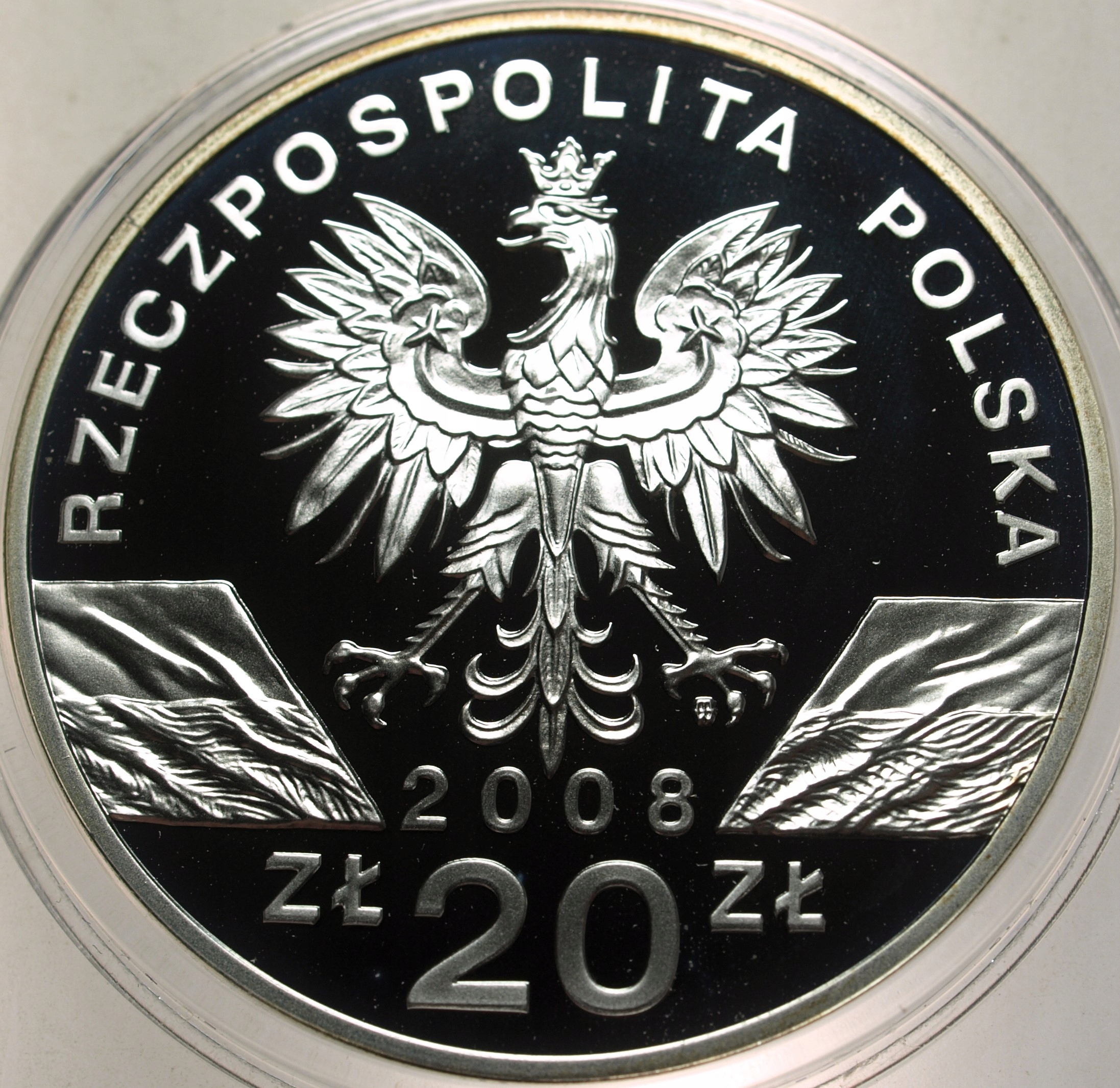 Zdjęcie 17937597077_1