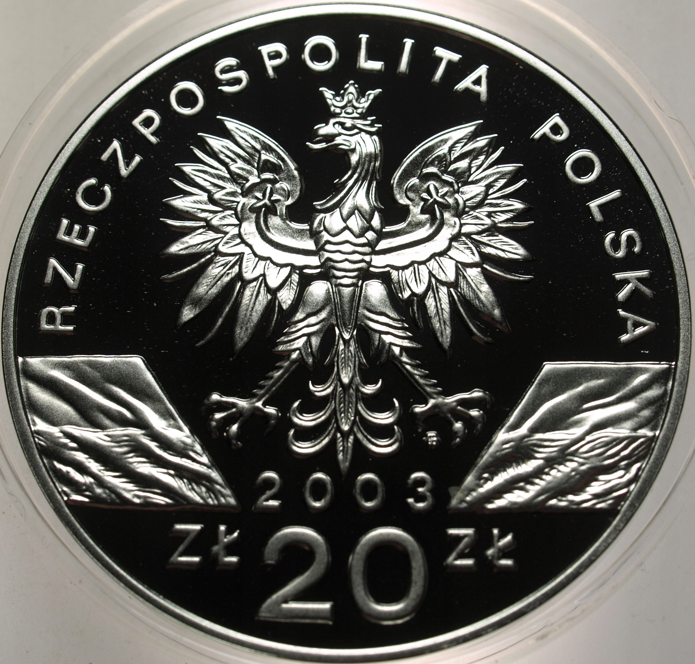 Zdjęcie 17940472809_1