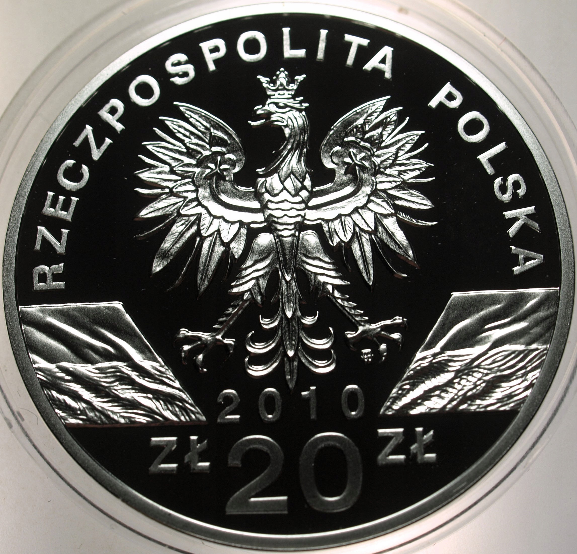 Zdjęcie 17940477440_1