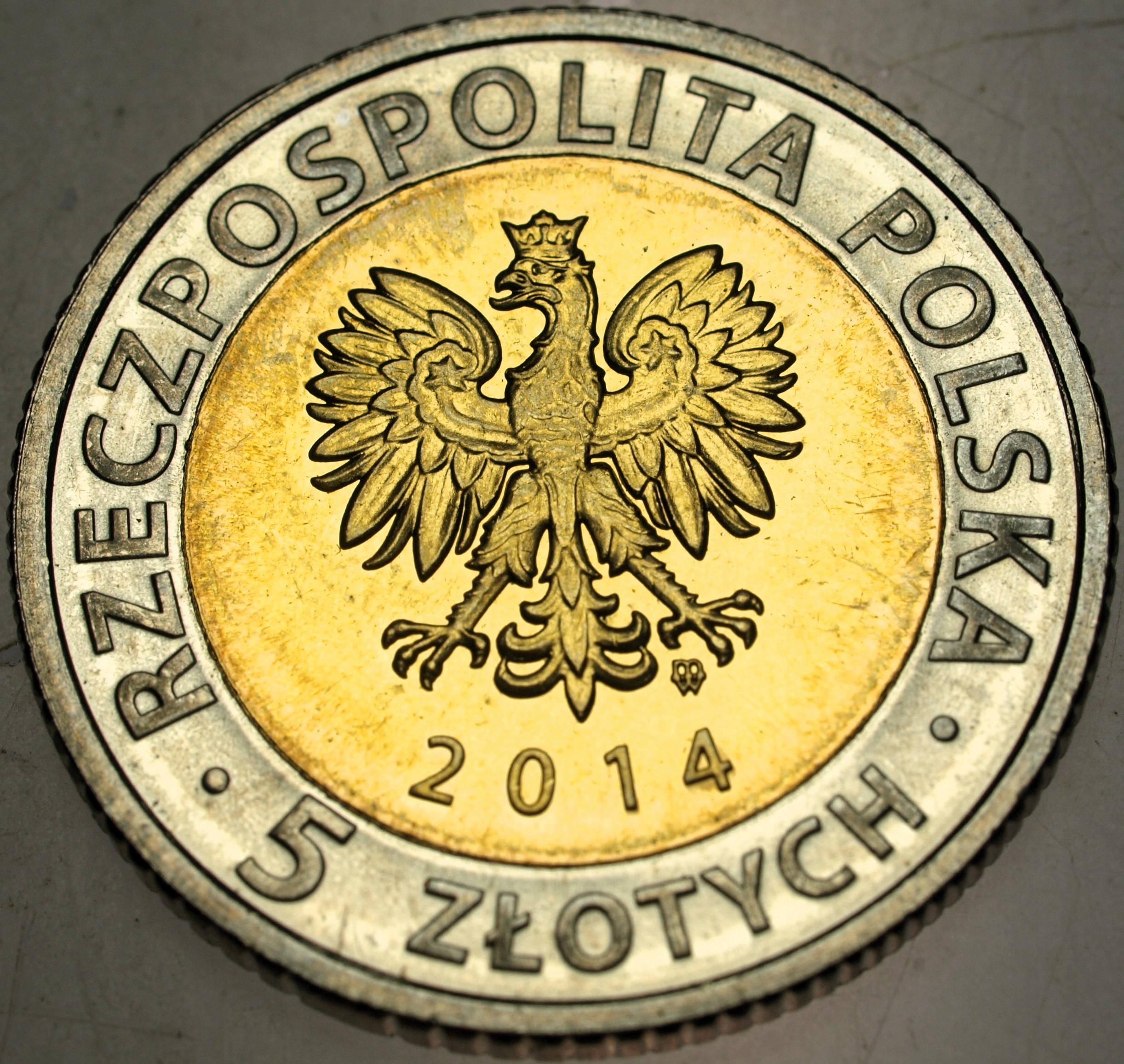 Zdjęcie 17943079162_1