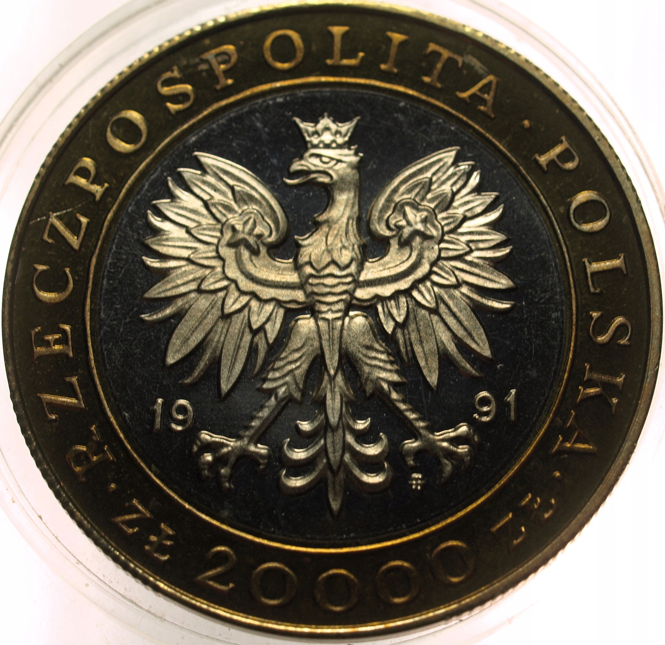 Zdjęcie 17989595166_1