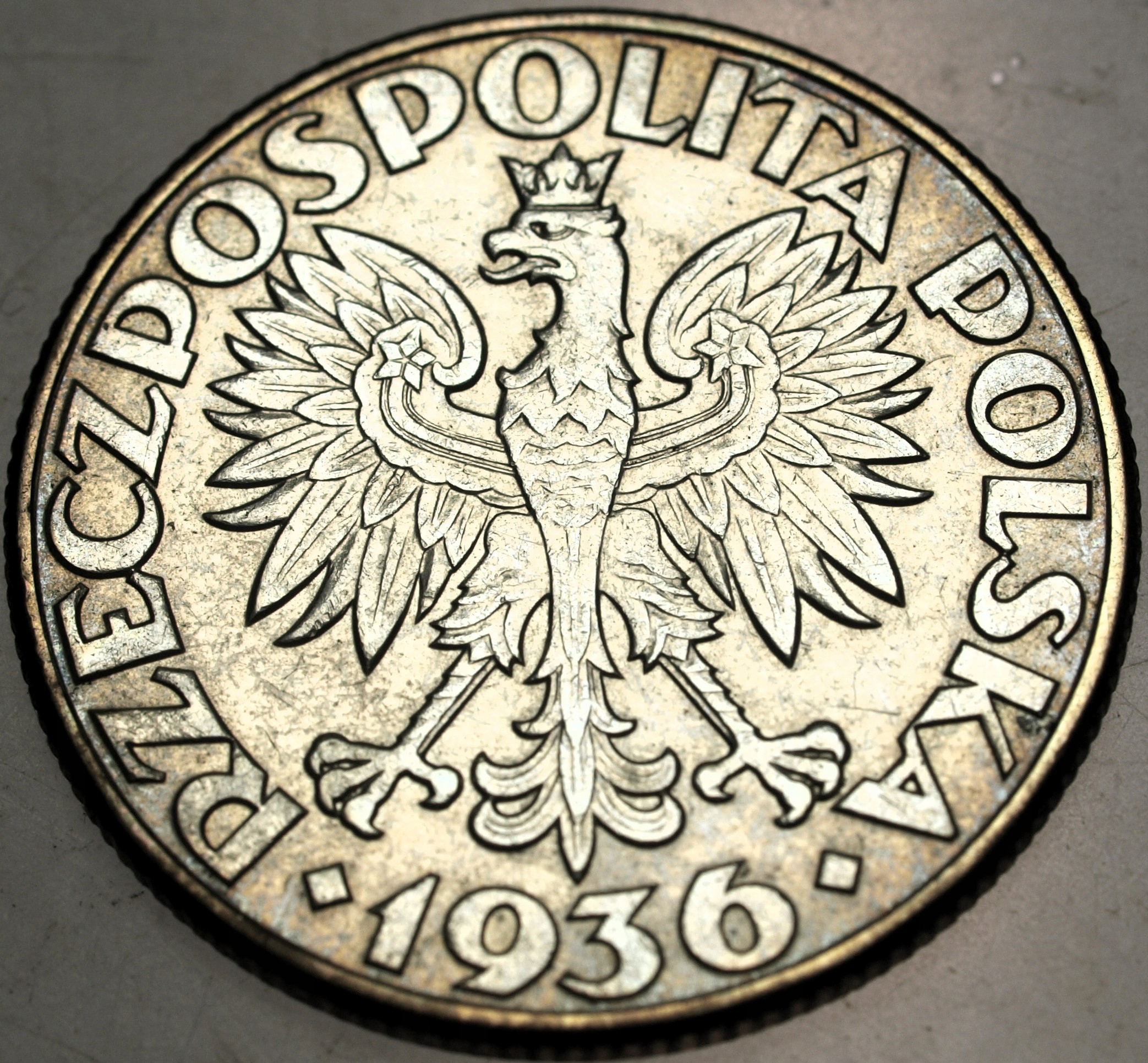 Zdjęcie 18060753956_1