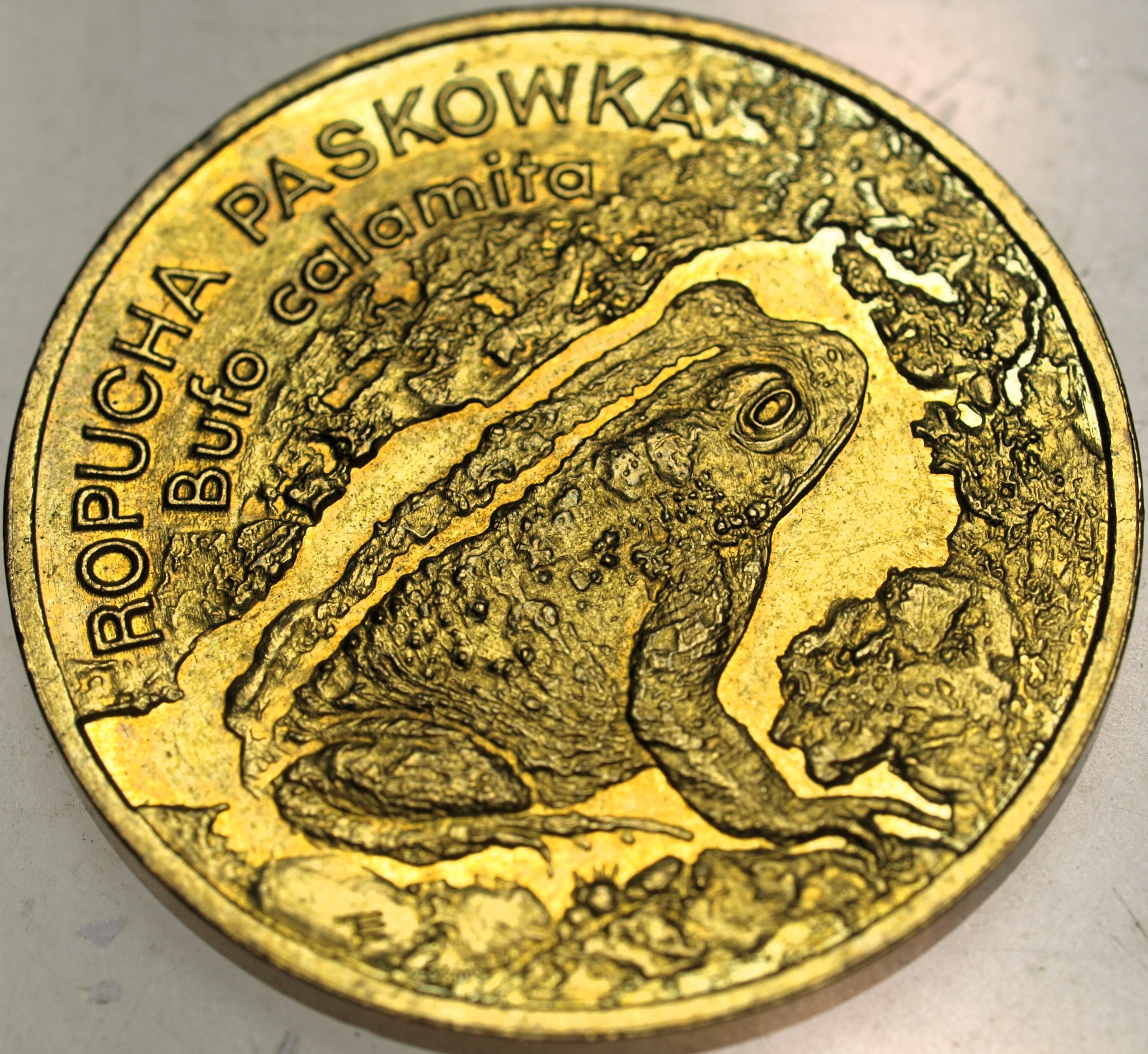 Zdjęcie 18060755691_0