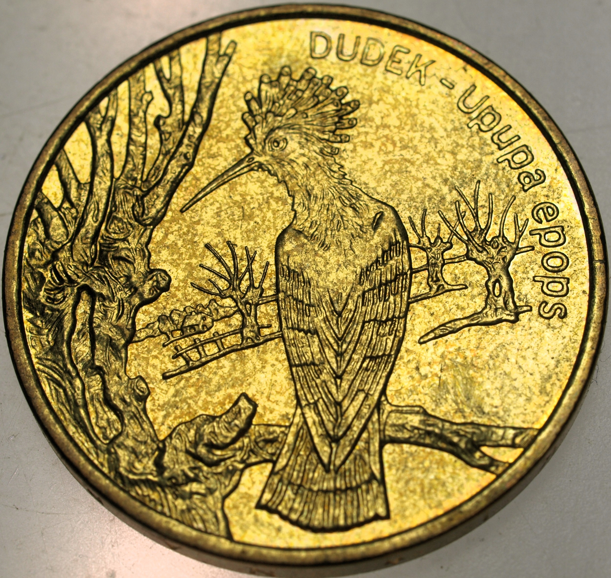 Zdjęcie 18060760235_0