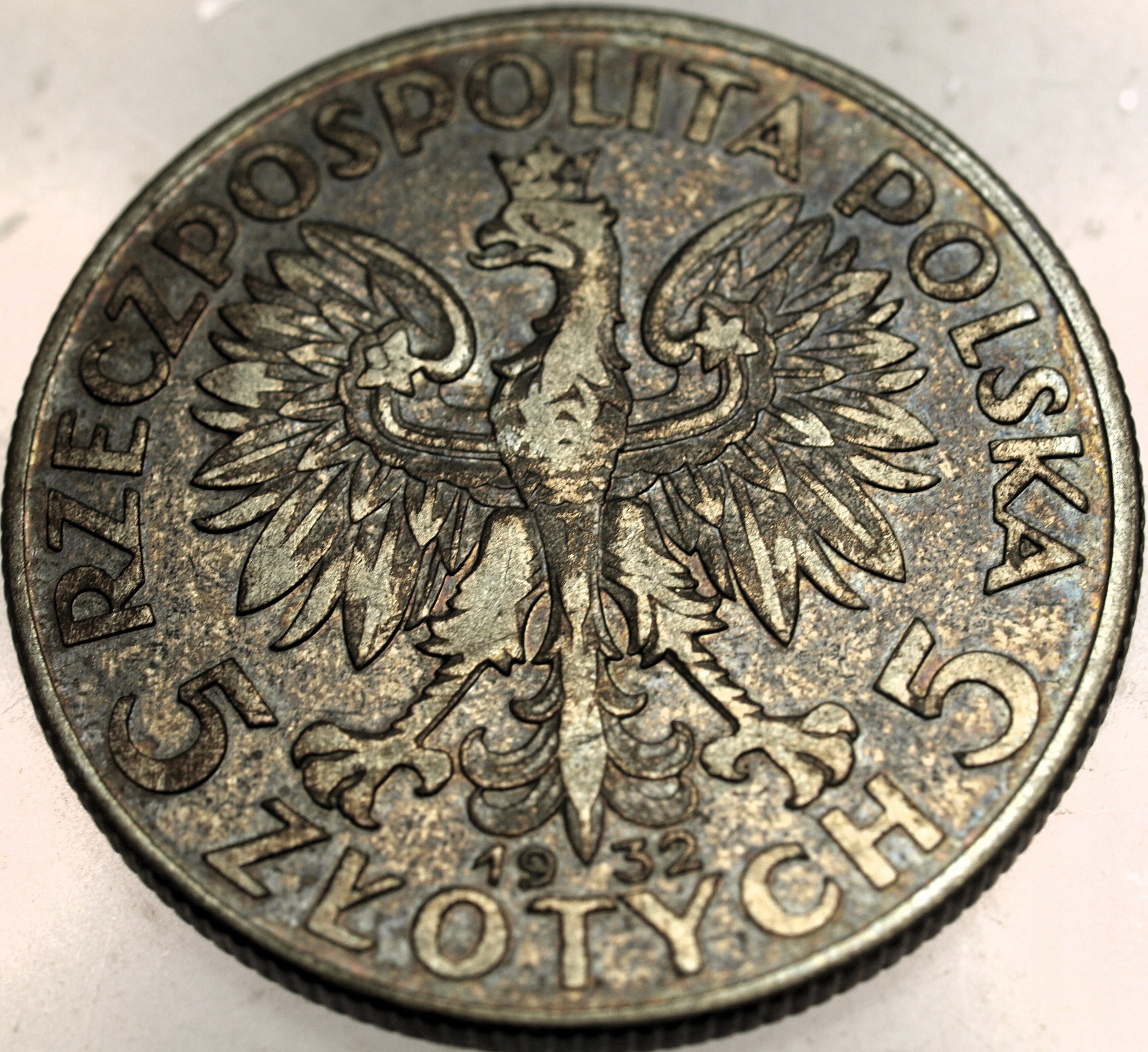 Zdjęcie 18060761657_1