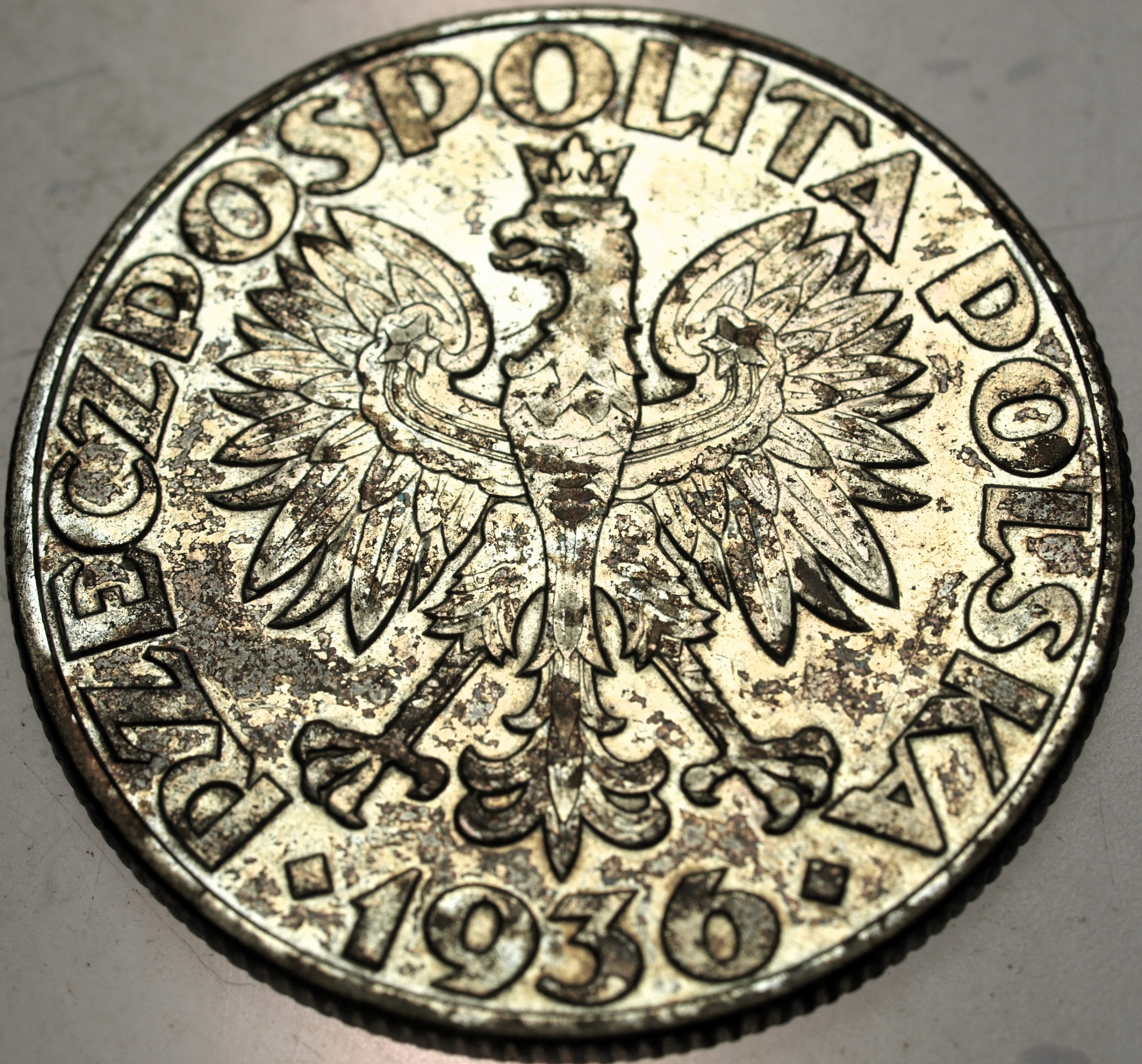 Zdjęcie 18060774362_1