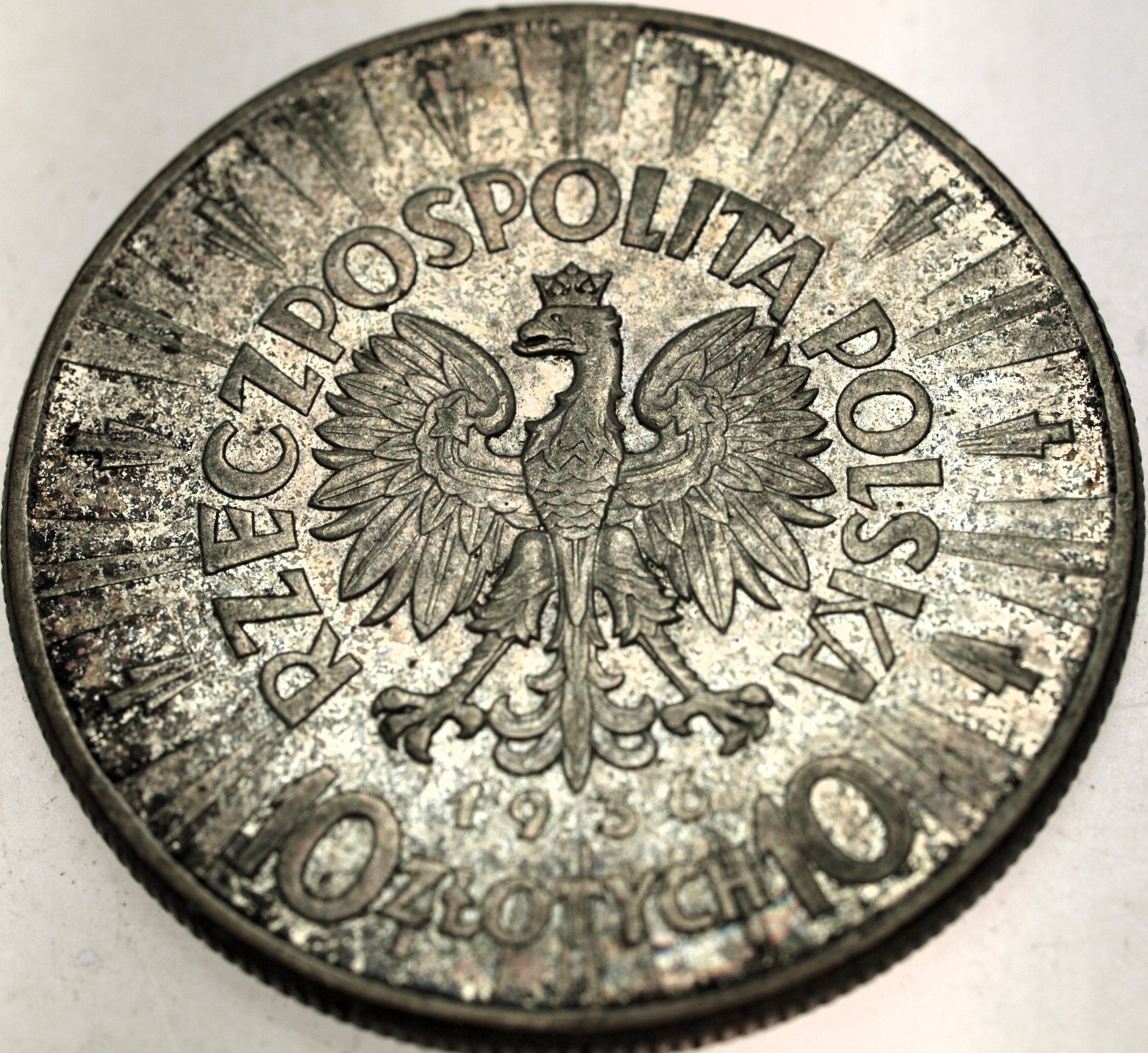 Zdjęcie 18060784477_1