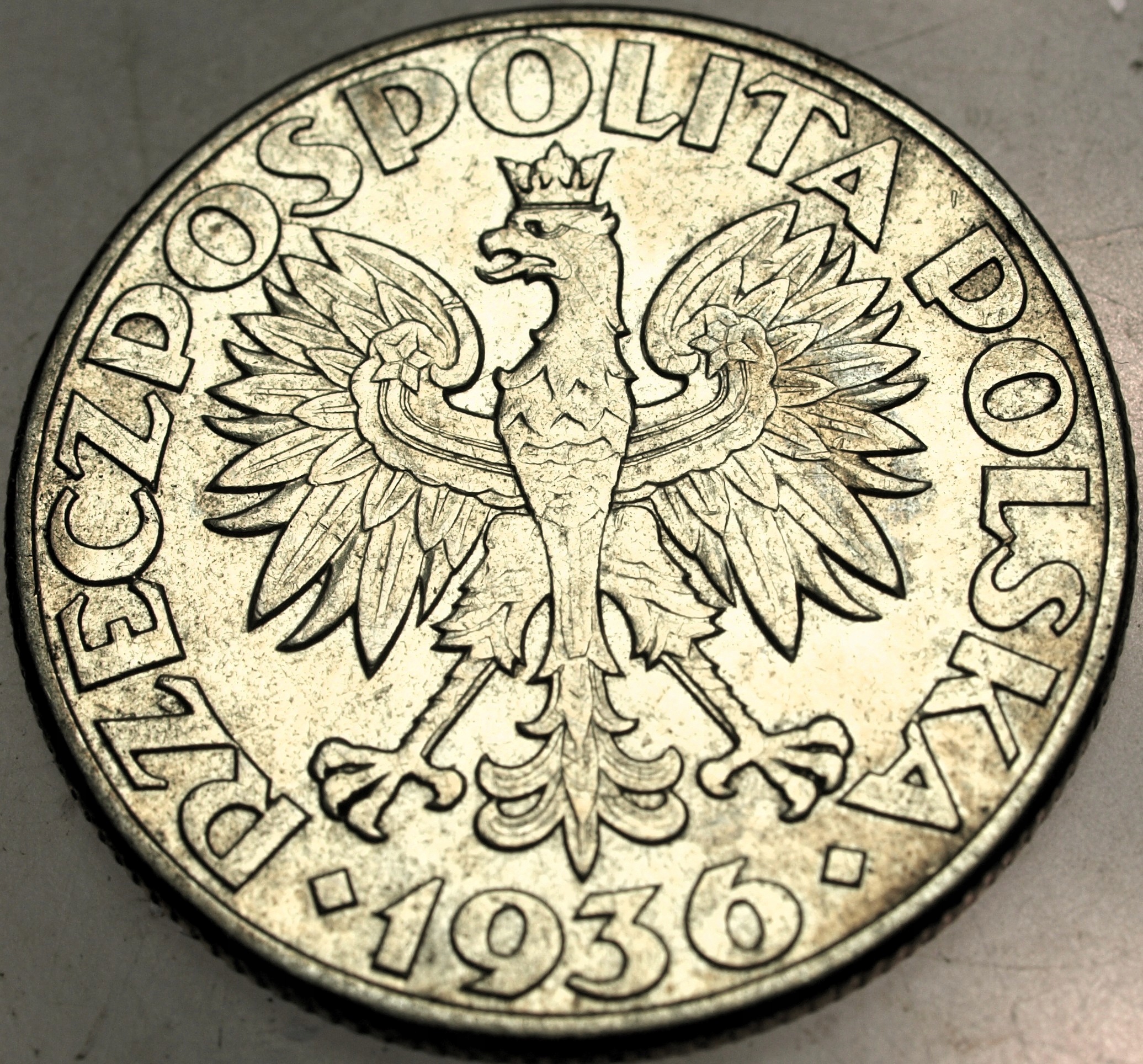 Zdjęcie 18063756933_1