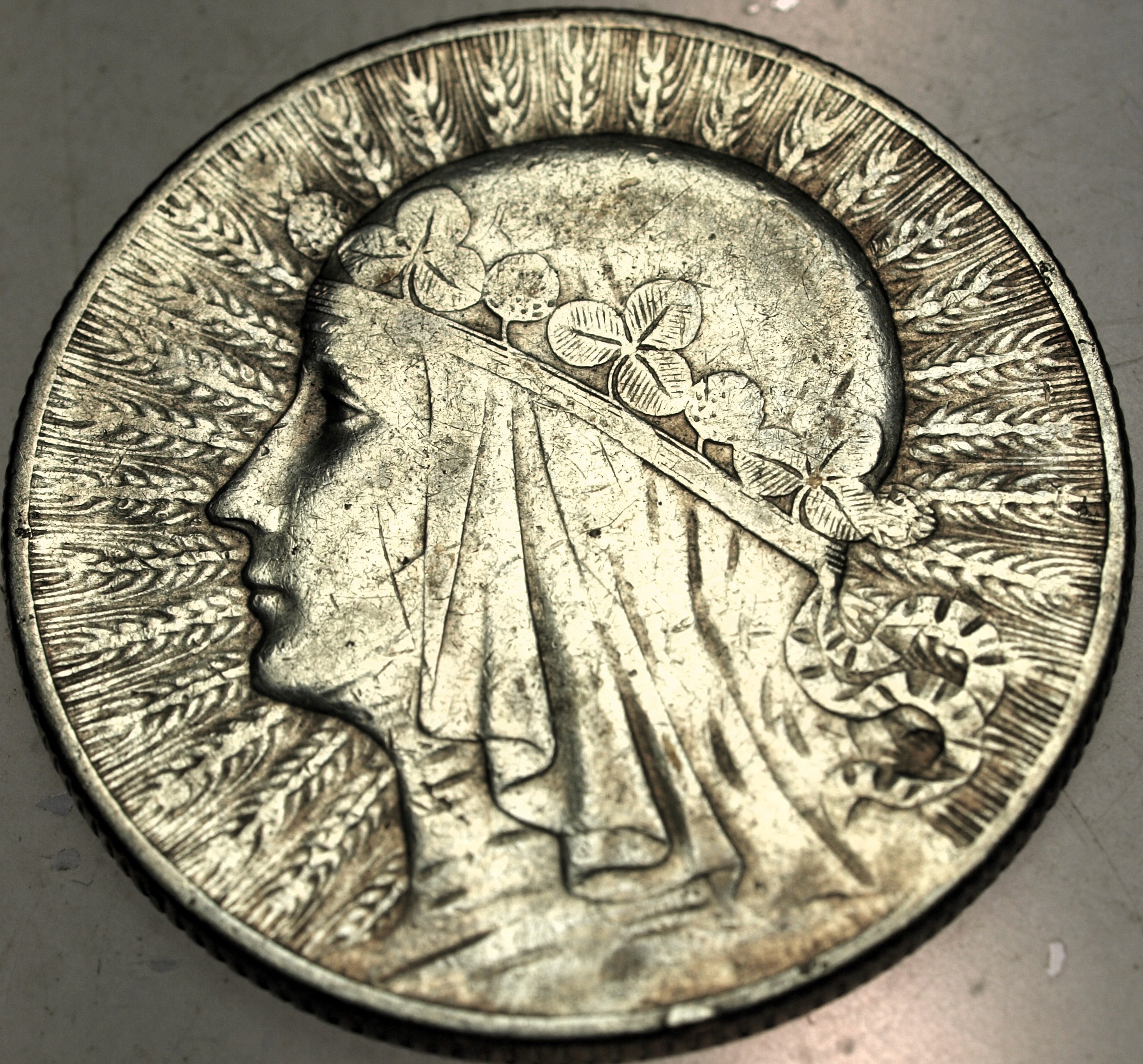 Zdjęcie 18063759202_0