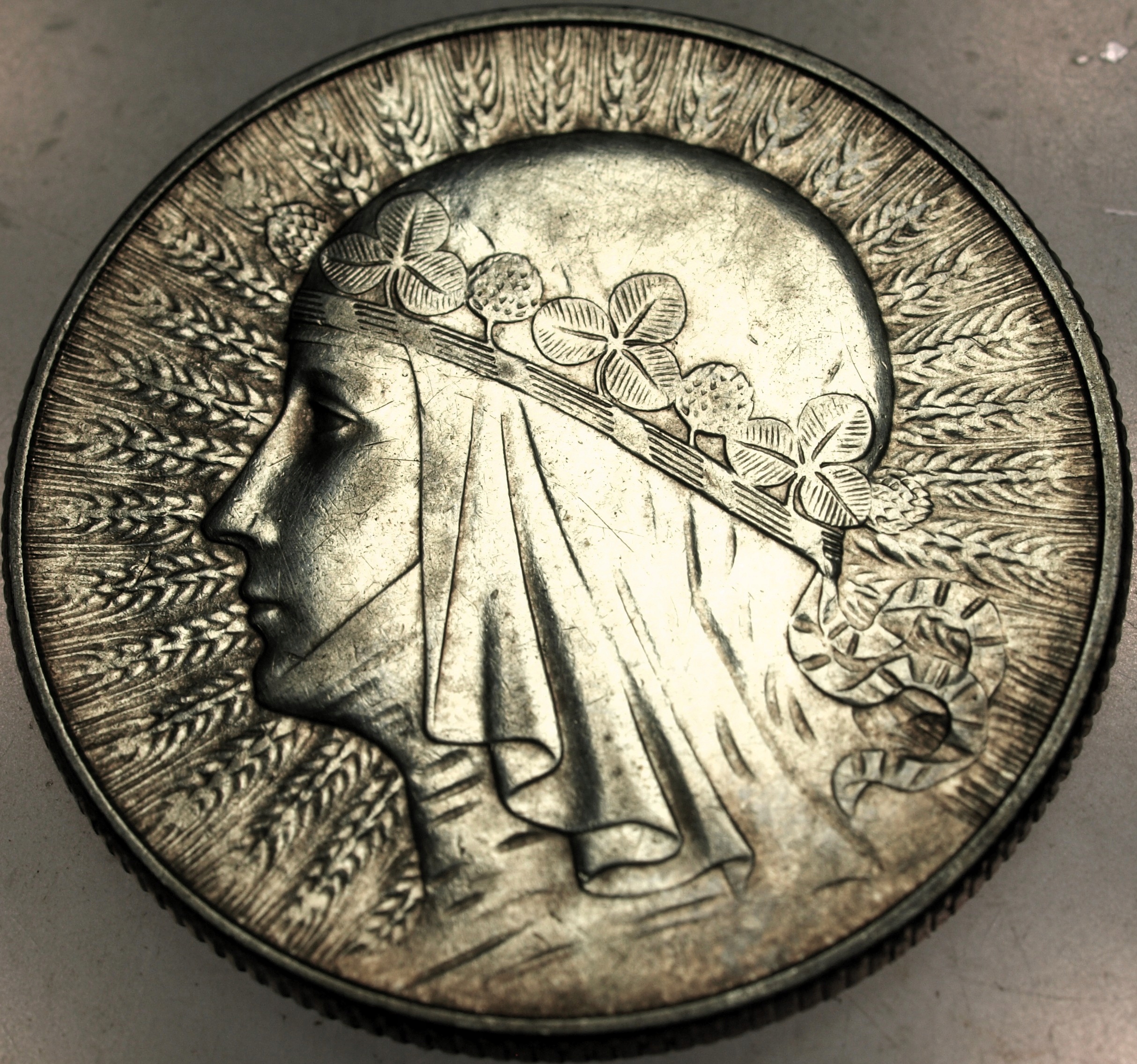 Zdjęcie 18063761008_0