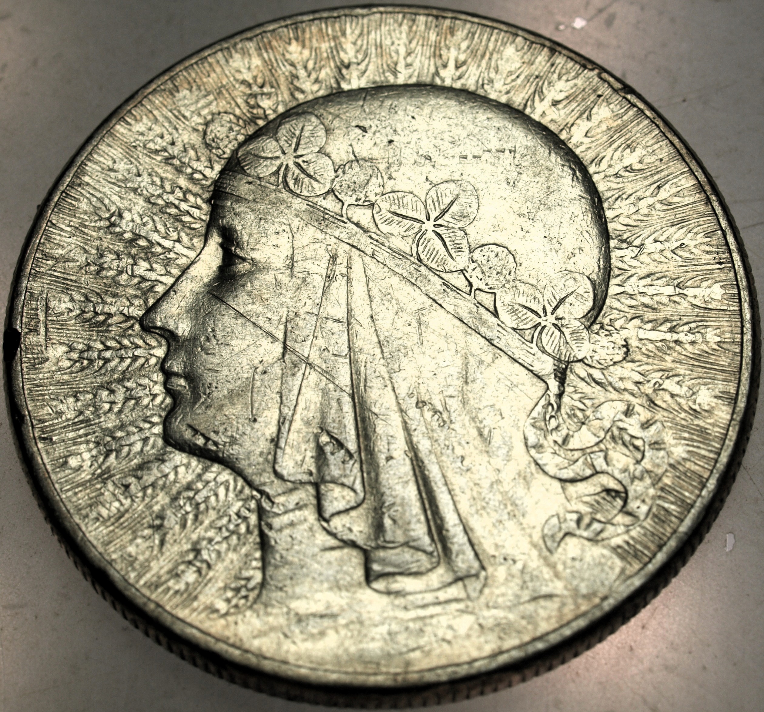 Zdjęcie 18063774008_0