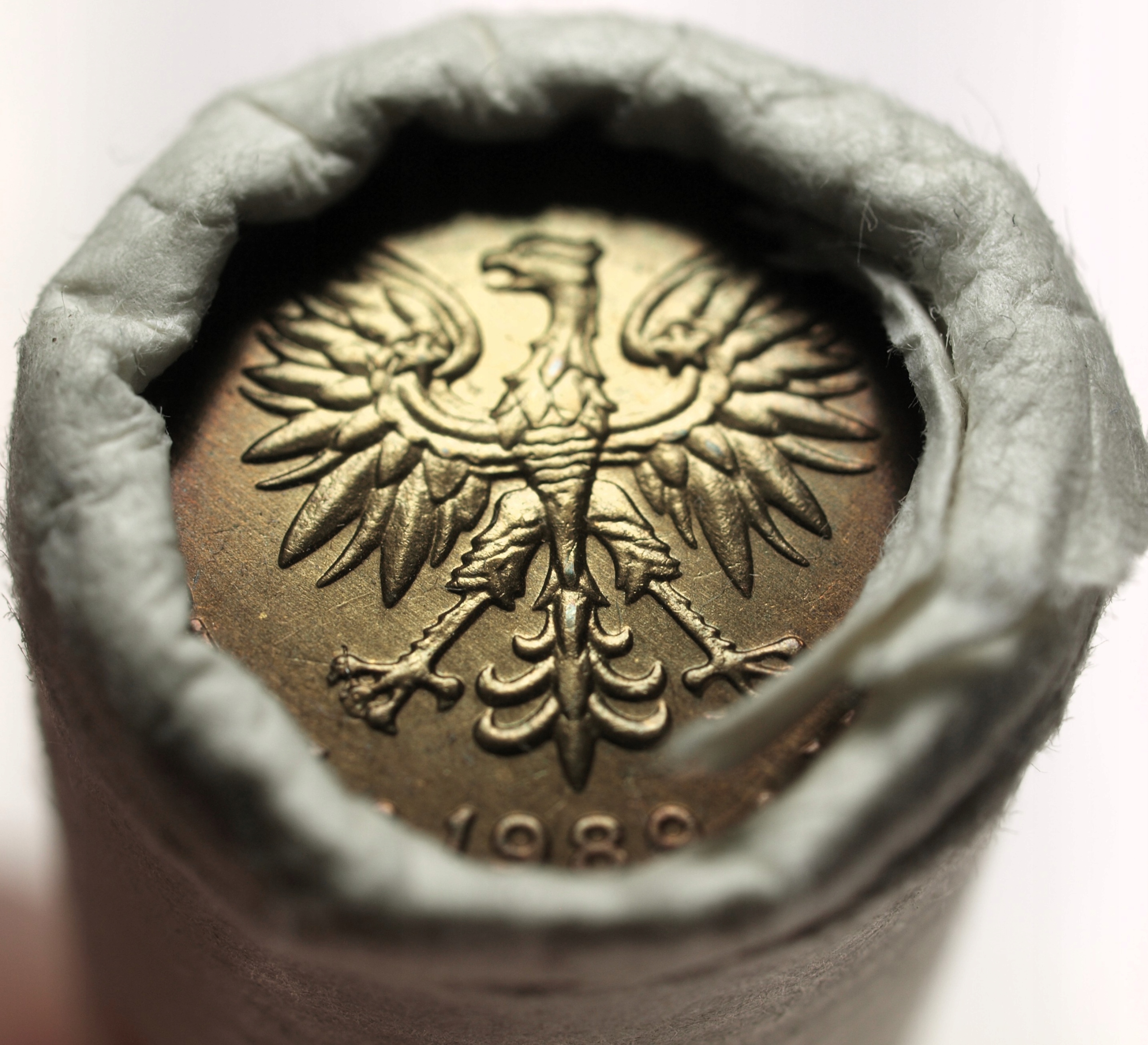 Zdjęcie 18063802323_1