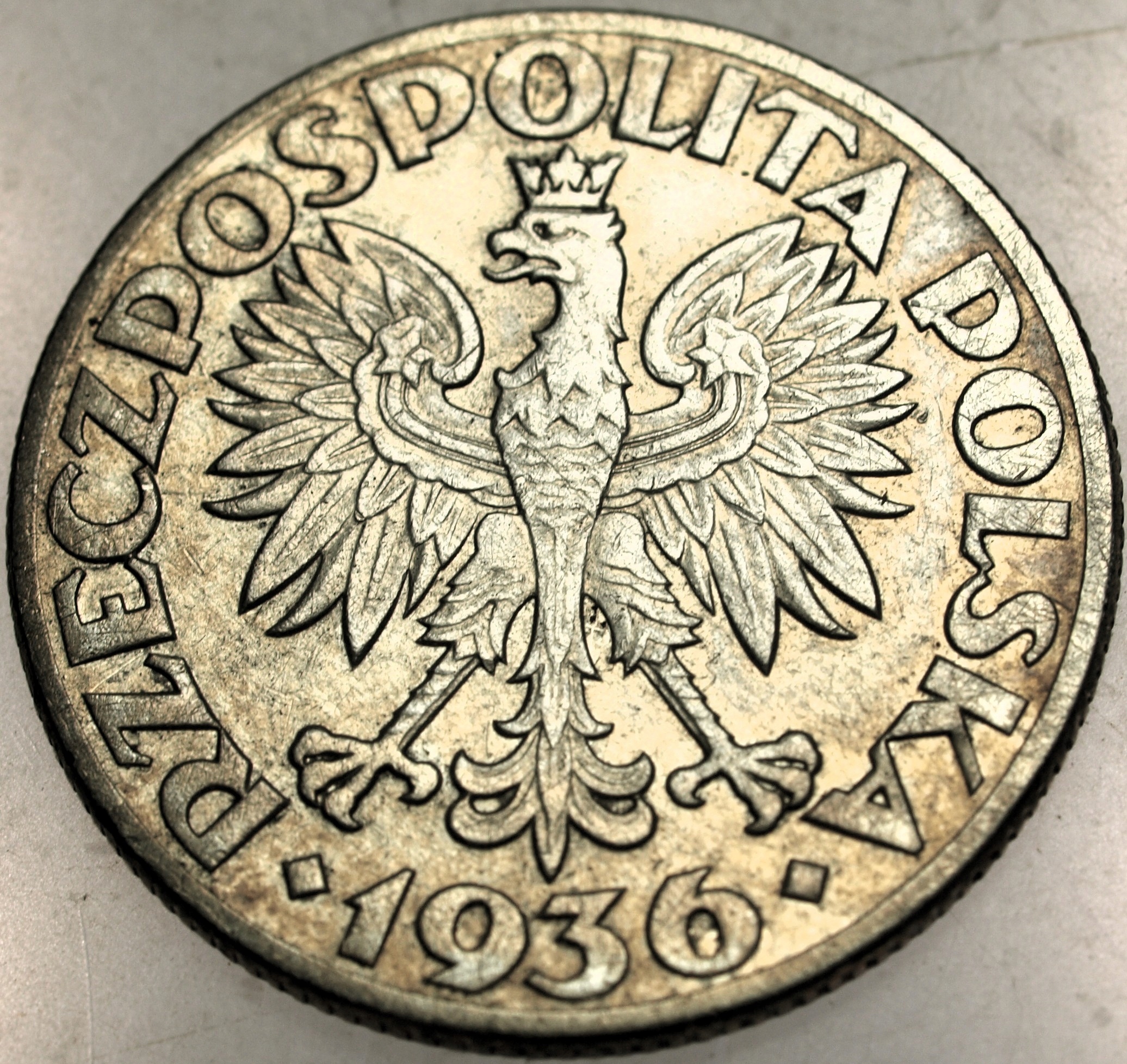 Zdjęcie 18065804275_1