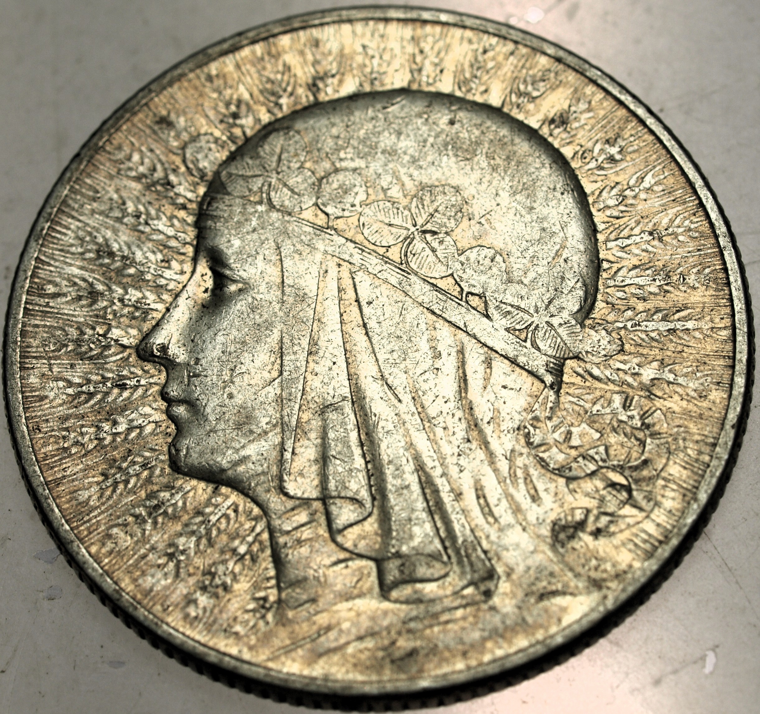 Zdjęcie 18065807509_0