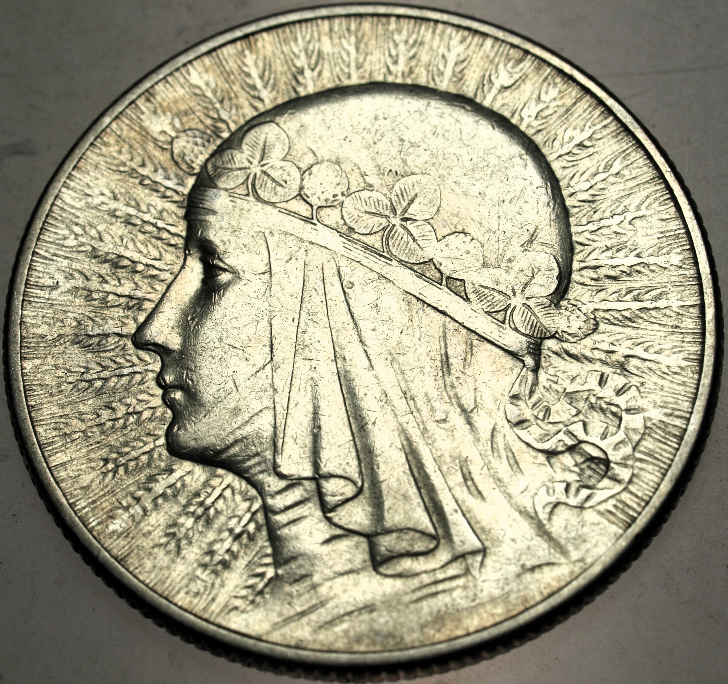 Zdjęcie 18065809072_0