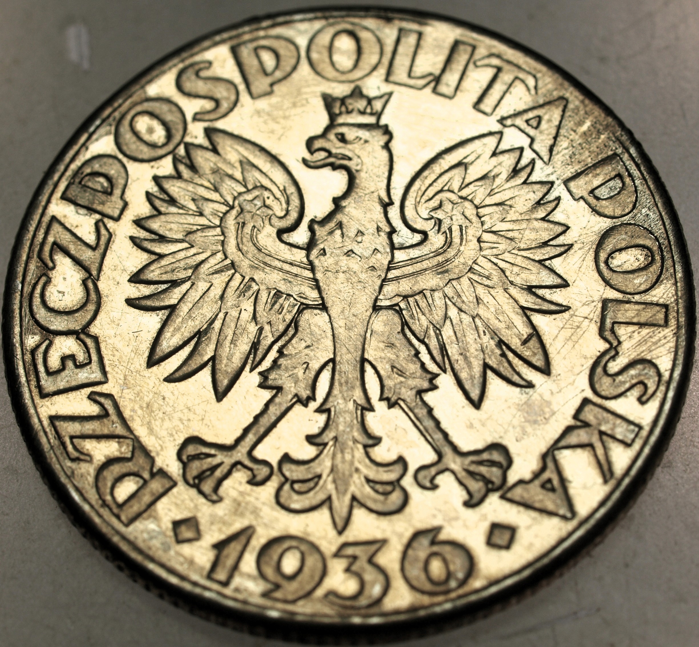 Zdjęcie 18081023152_1