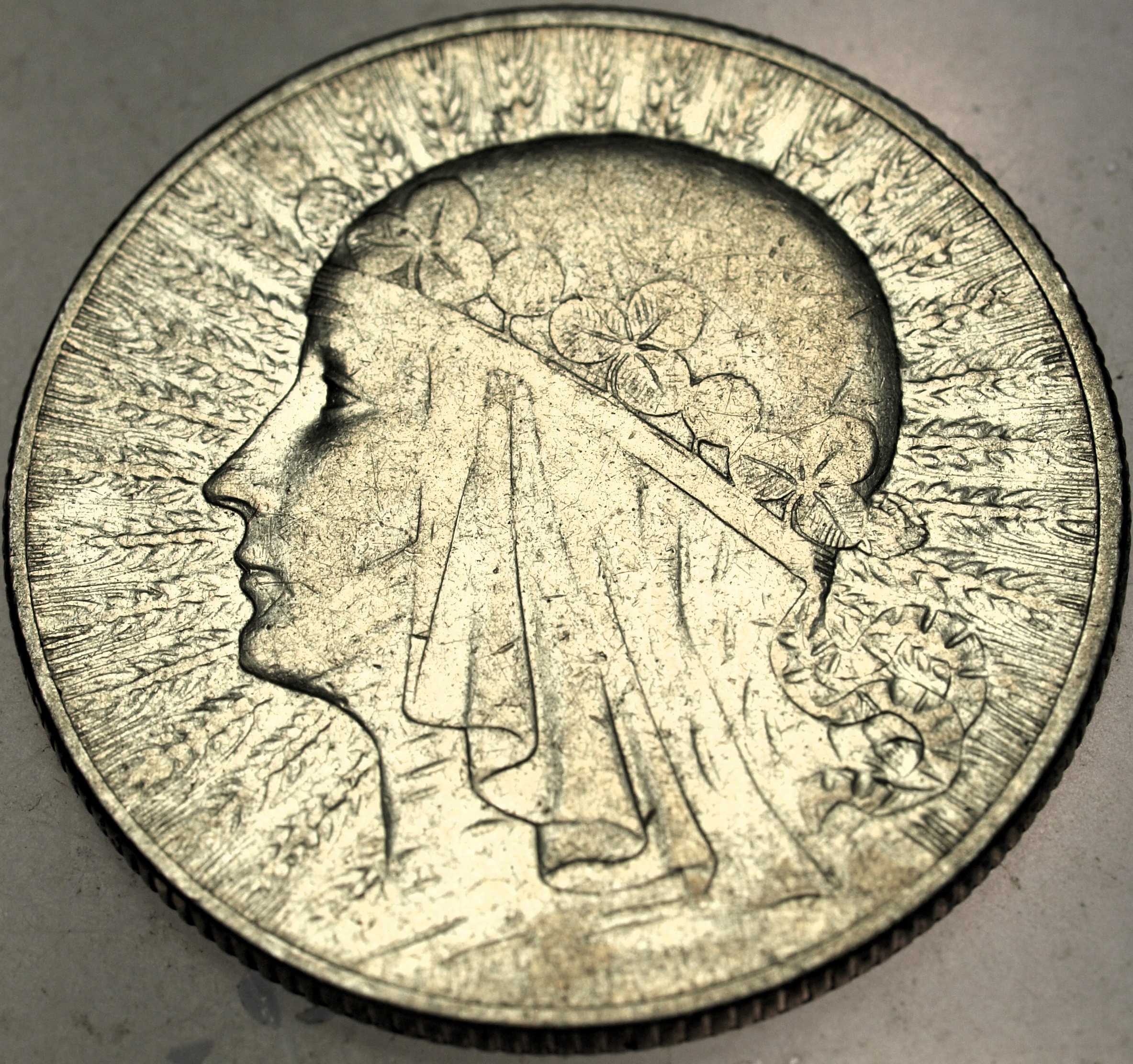 Zdjęcie 18081024719_0