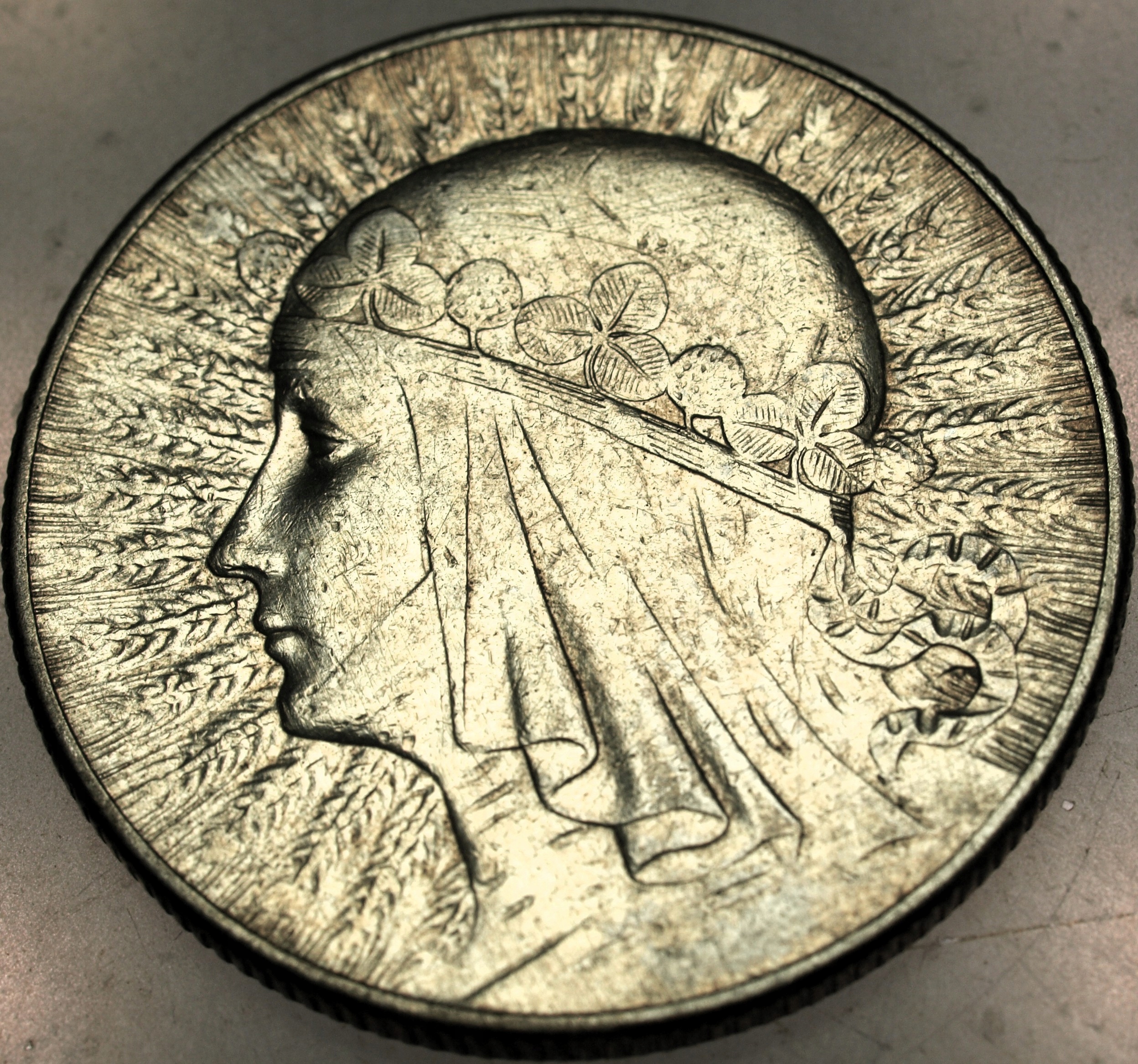 Zdjęcie 18081026880_0