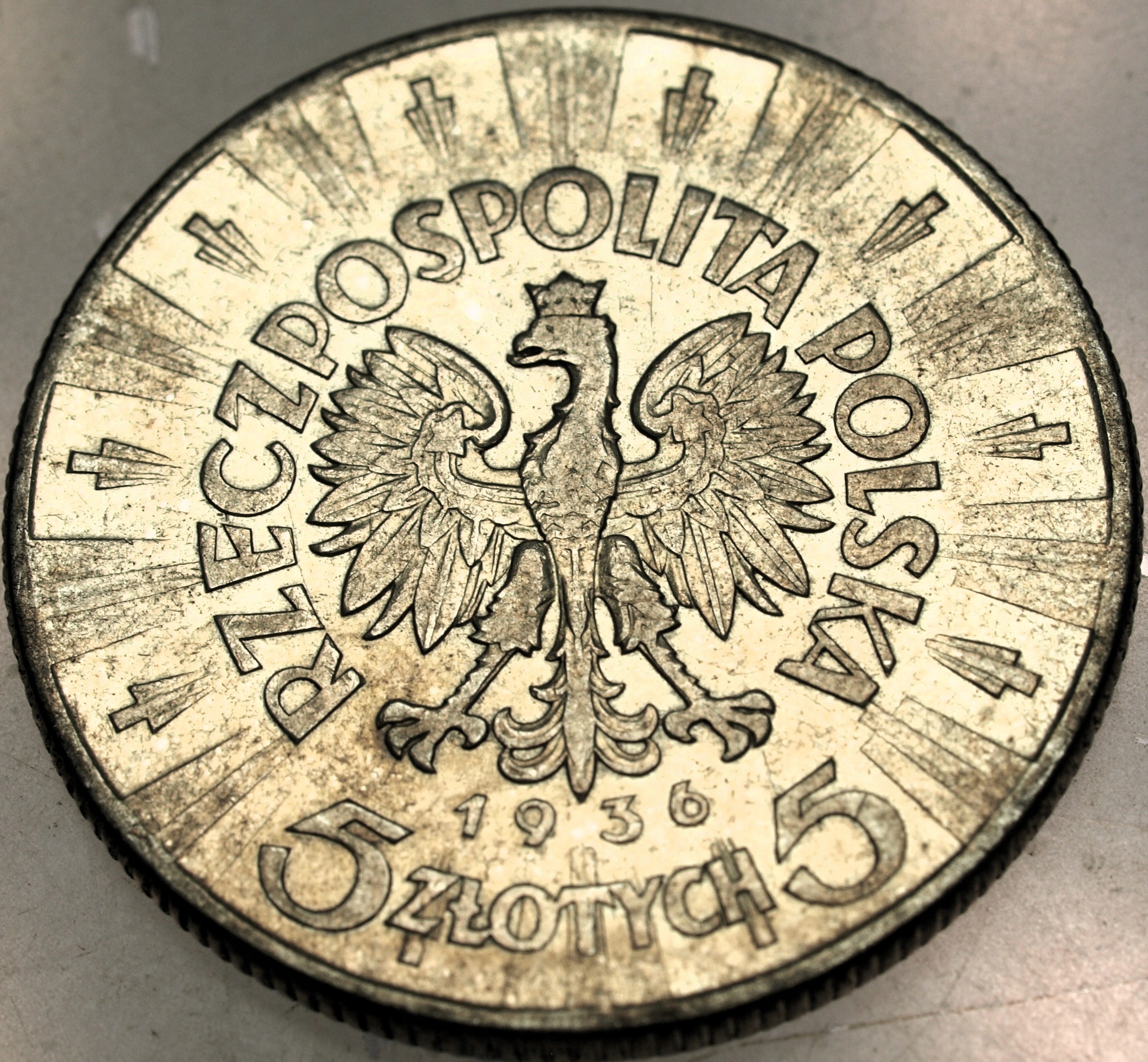 Zdjęcie 18081031663_1