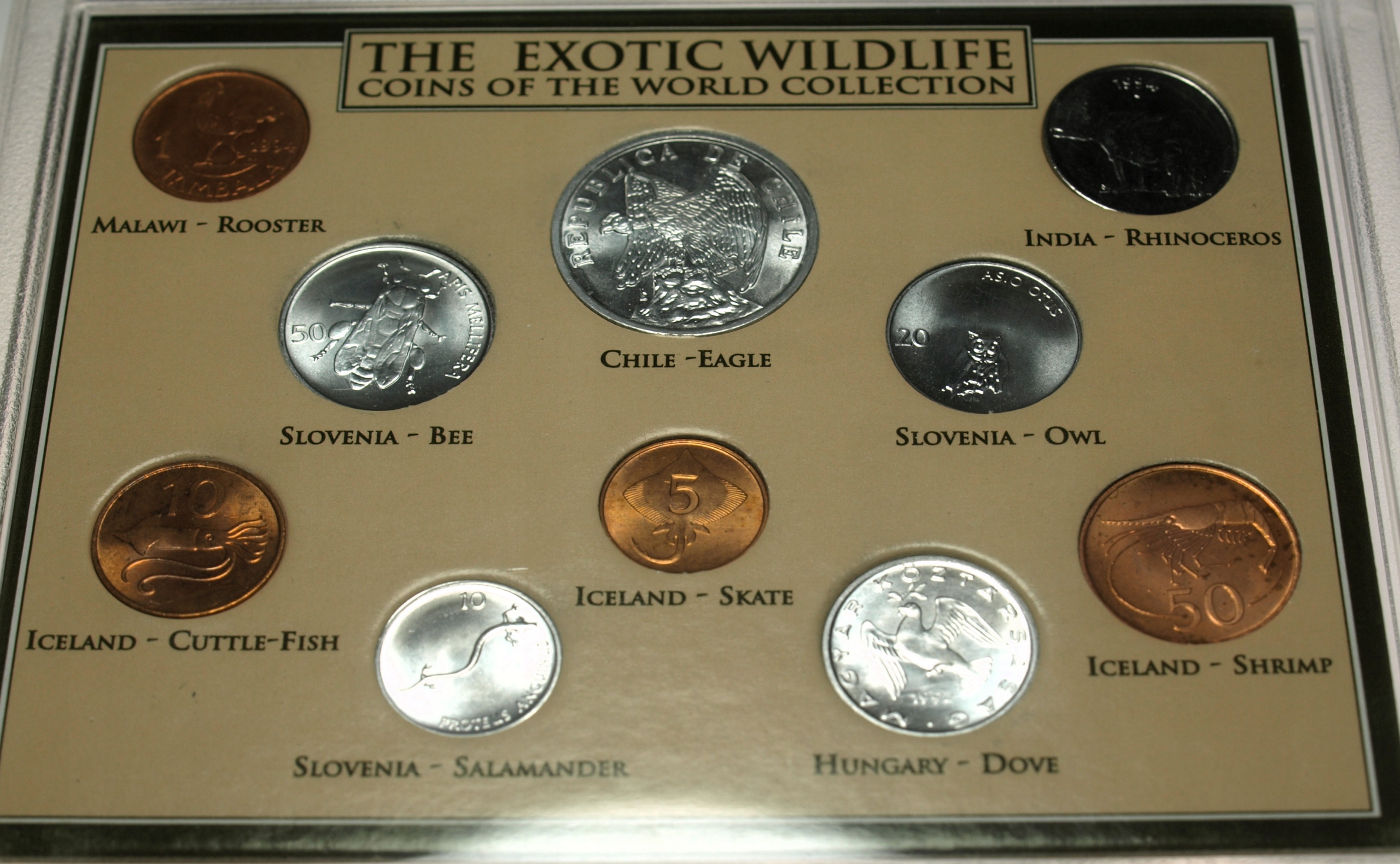 Zdjęcie 18081128742_1