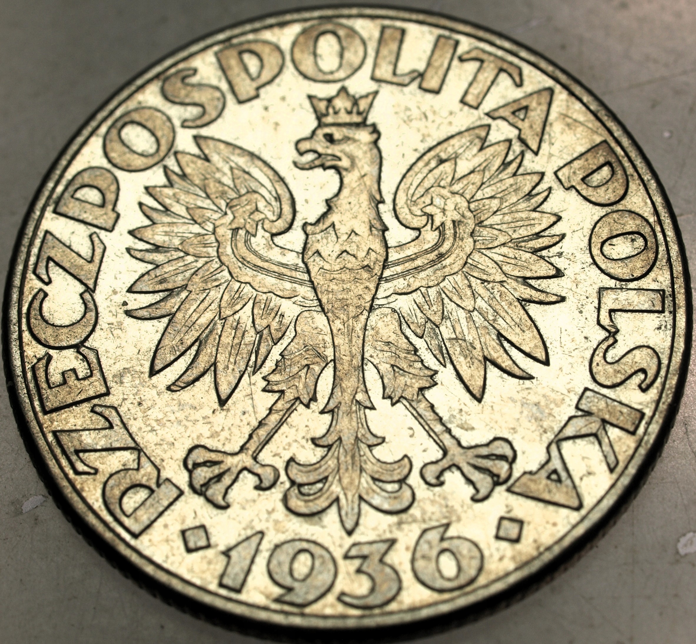 Zdjęcie 18091337831_1