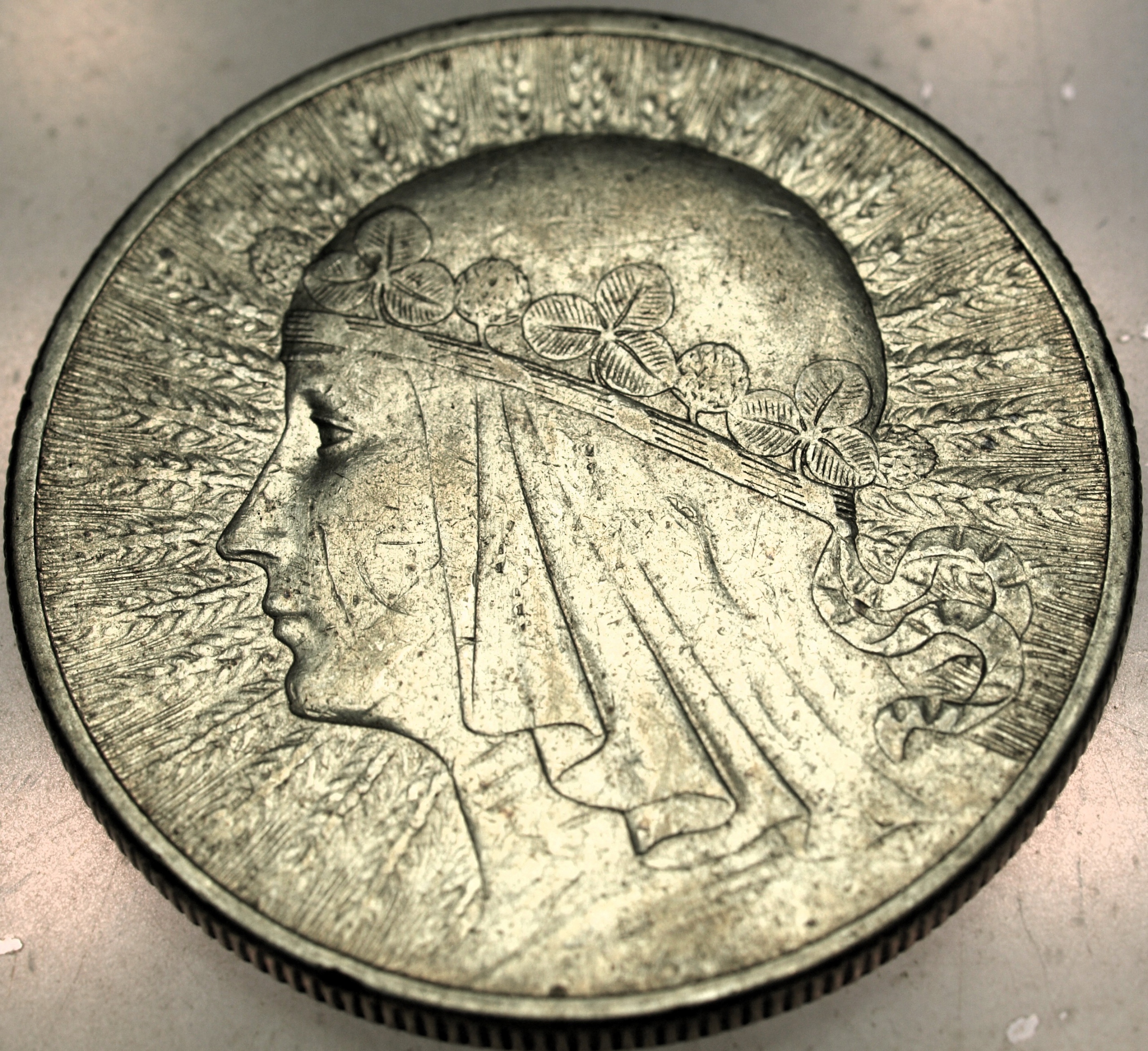 Zdjęcie 18091364585_0