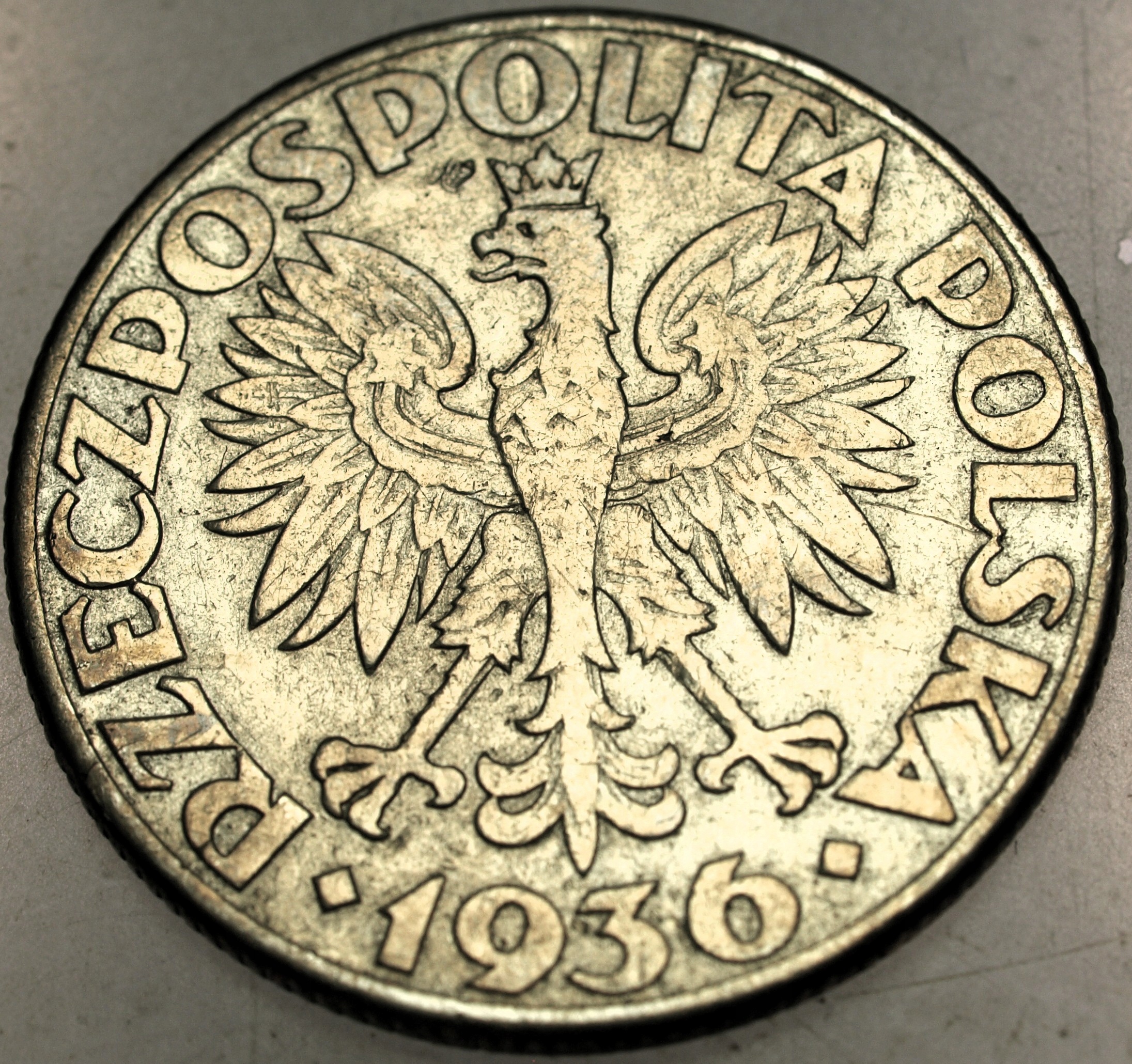 Zdjęcie 18097963321_1