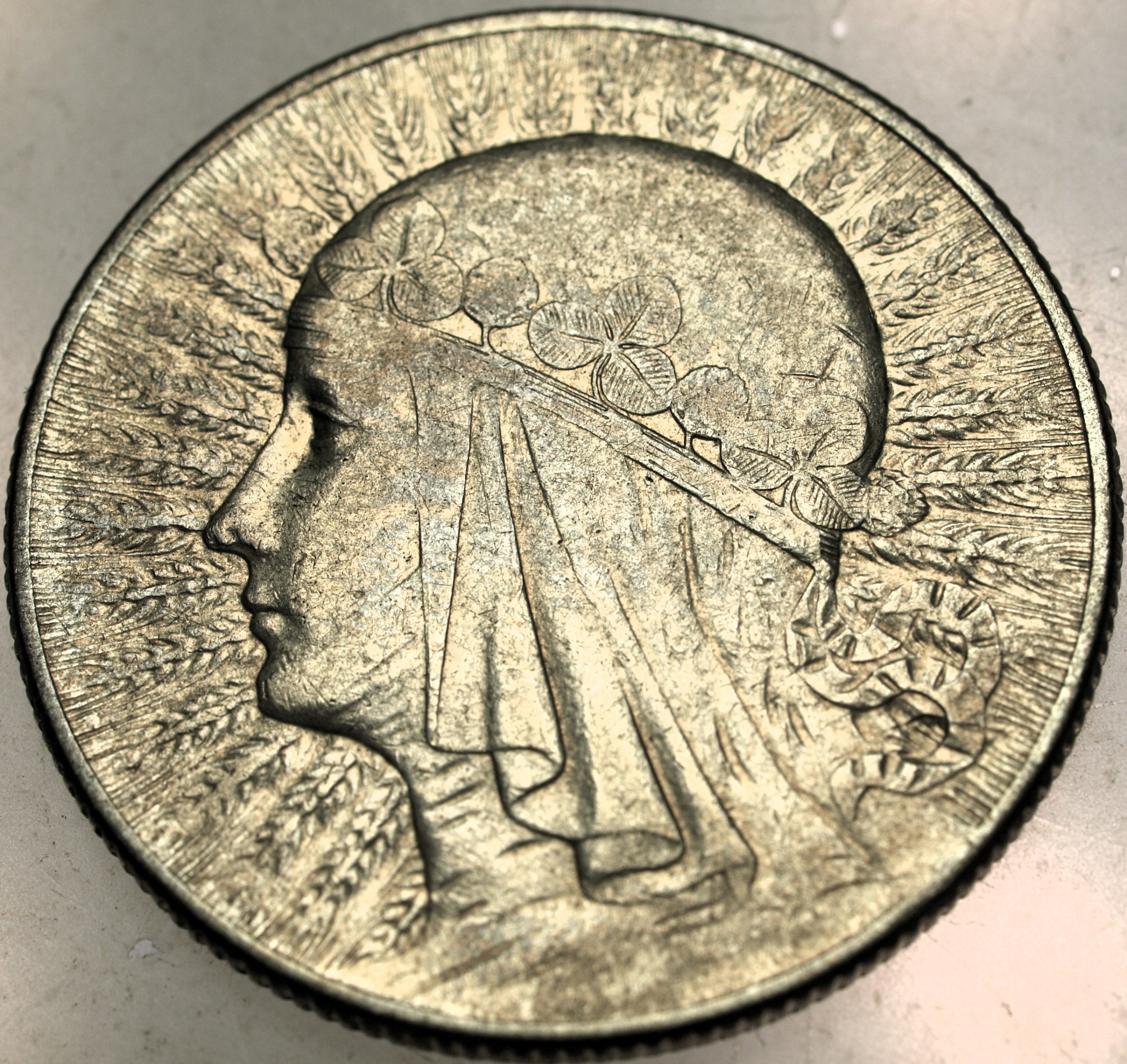 Zdjęcie 18097970296_0