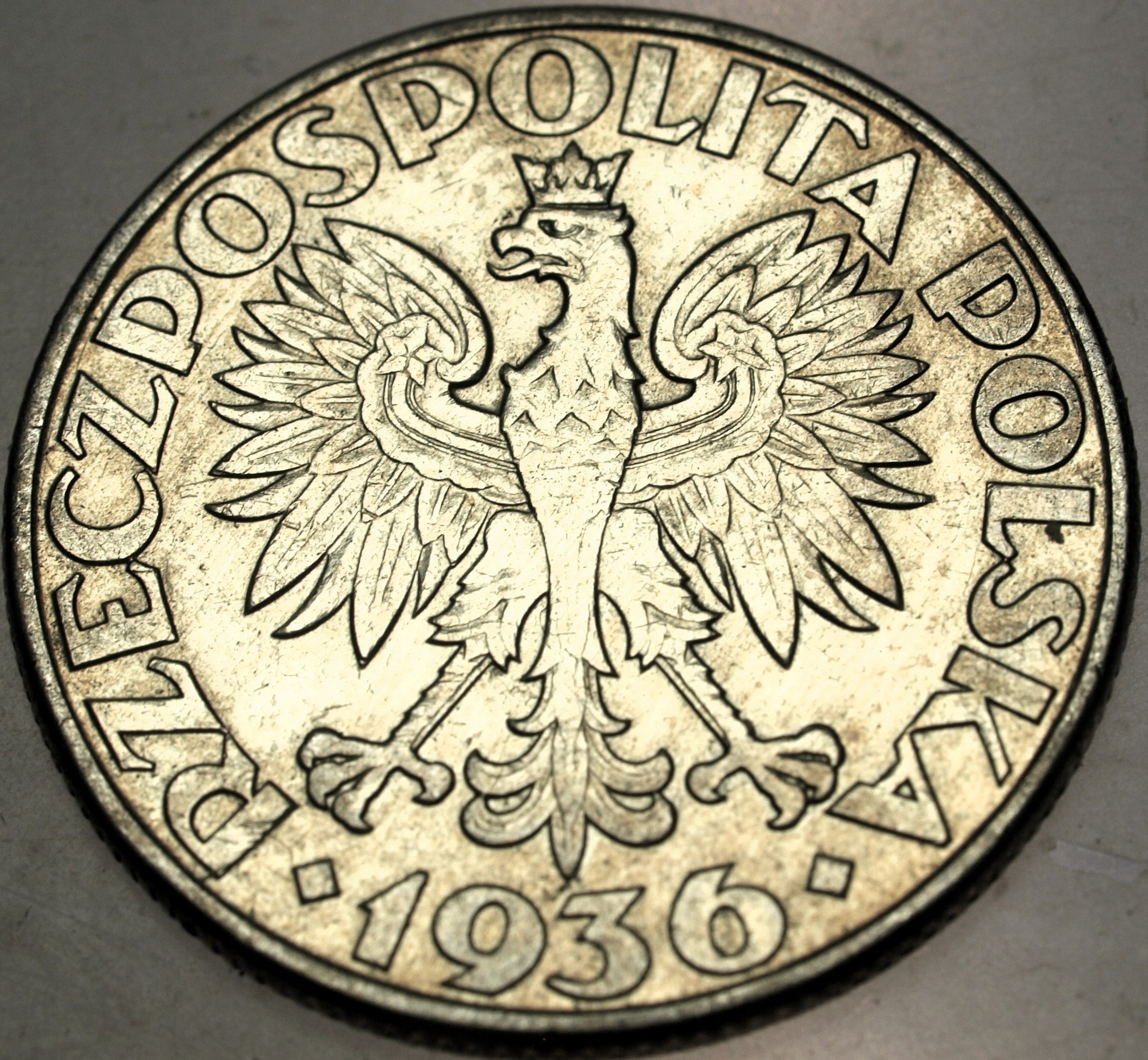 Zdjęcie 18100486469_1