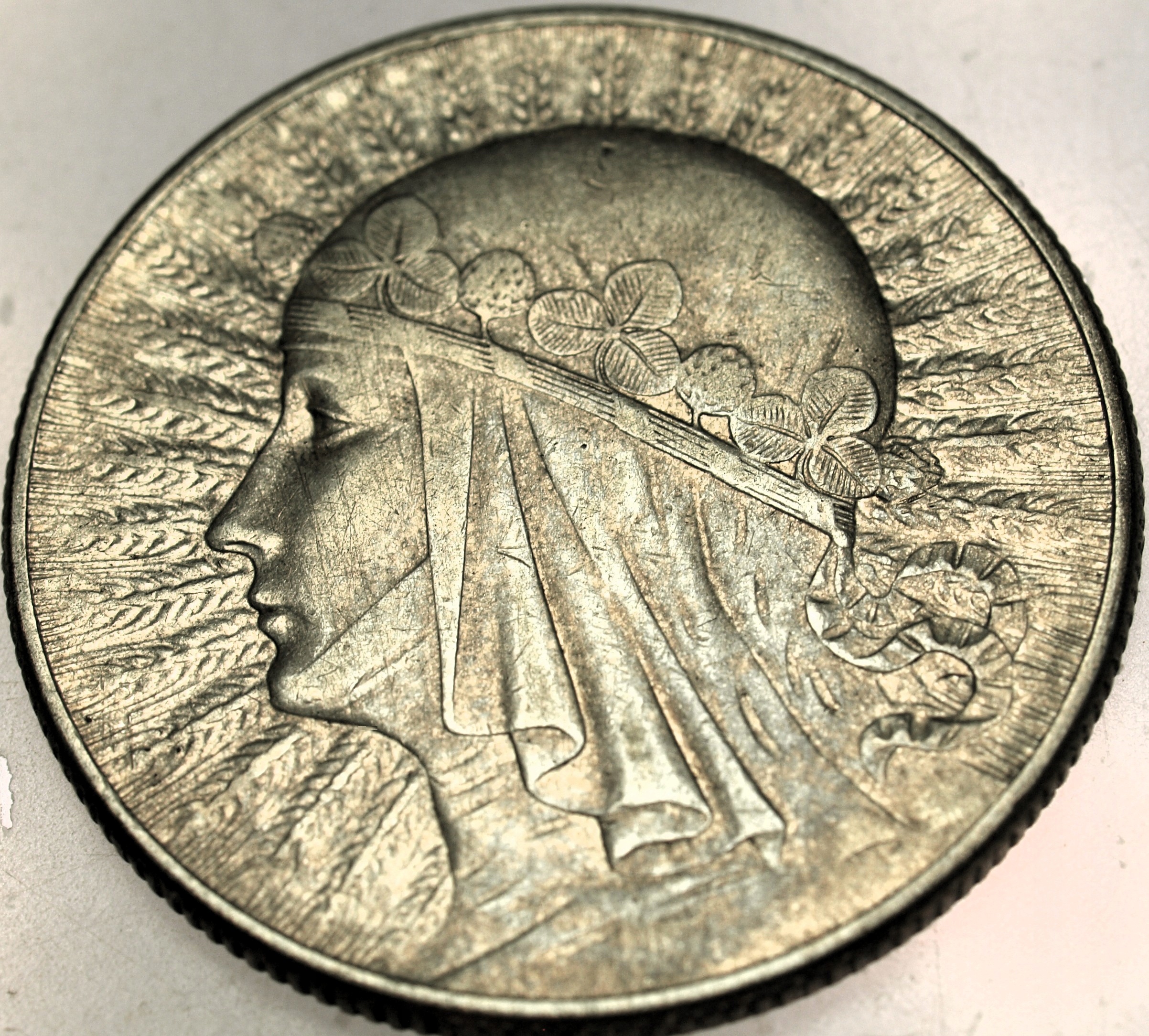 Zdjęcie 18100501029_0