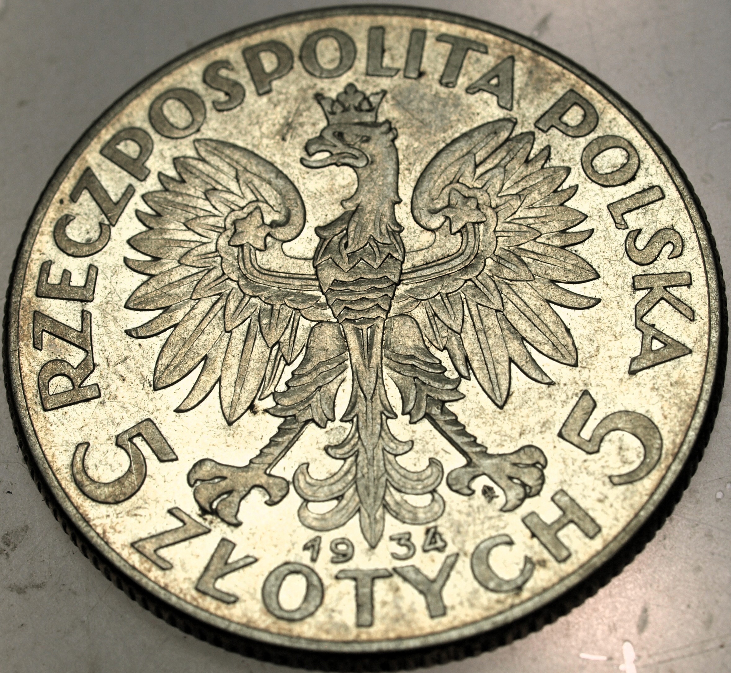 Zdjęcie 18100501029_1