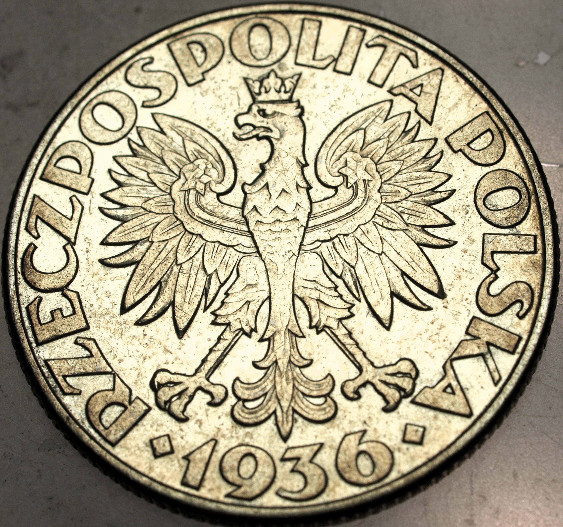 Zdjęcie 18109328578_1