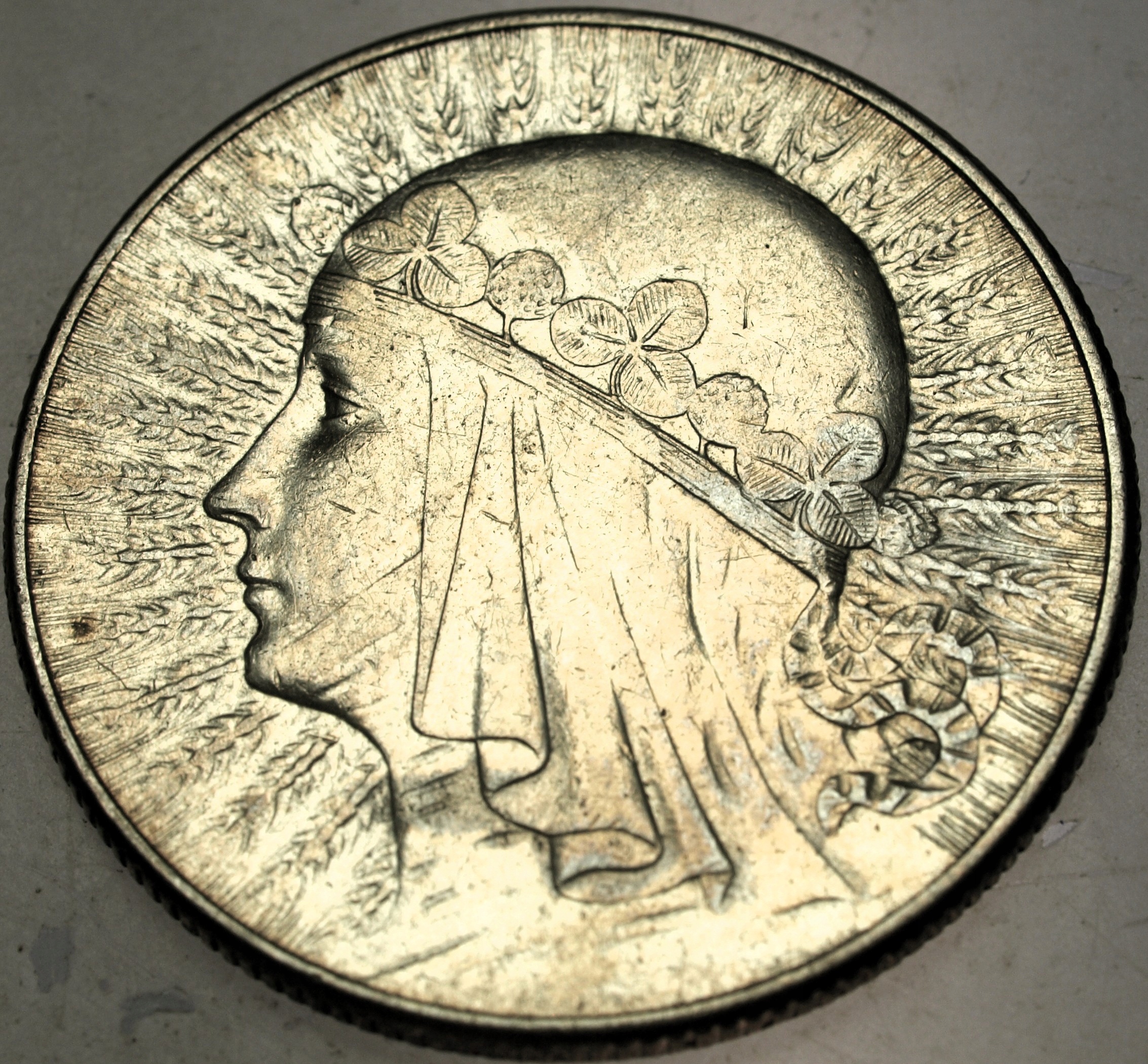 Zdjęcie 18109331921_0