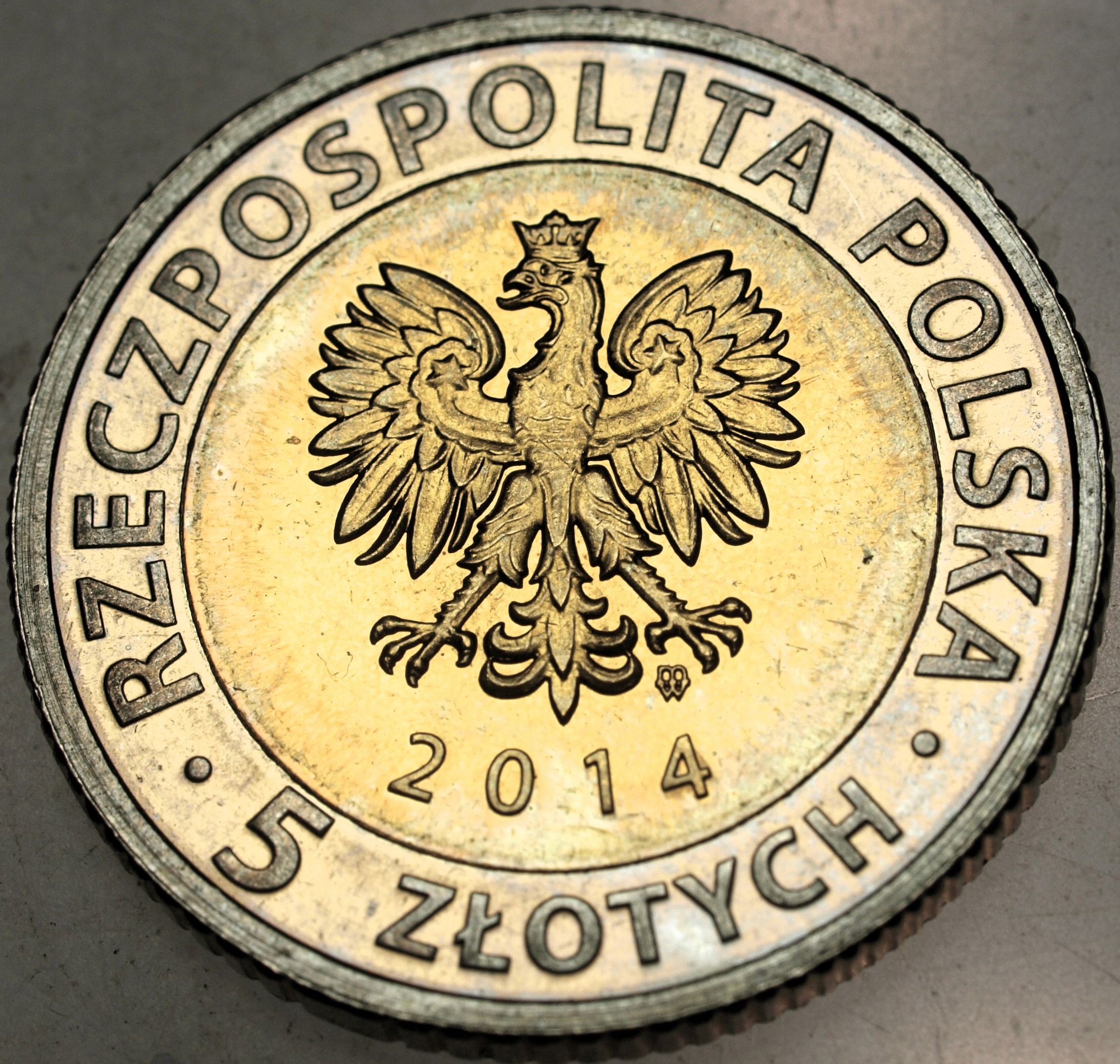 Zdjęcie 18109336483_1