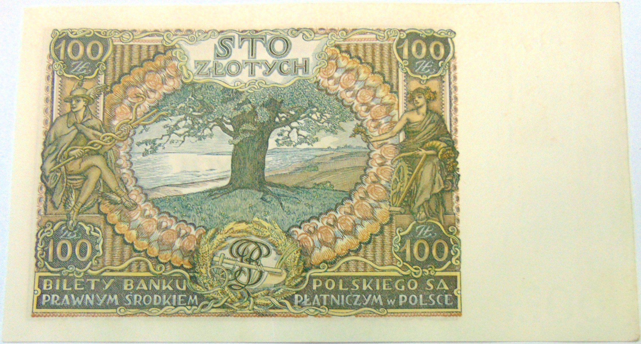 Zdjęcie 18118973452_1