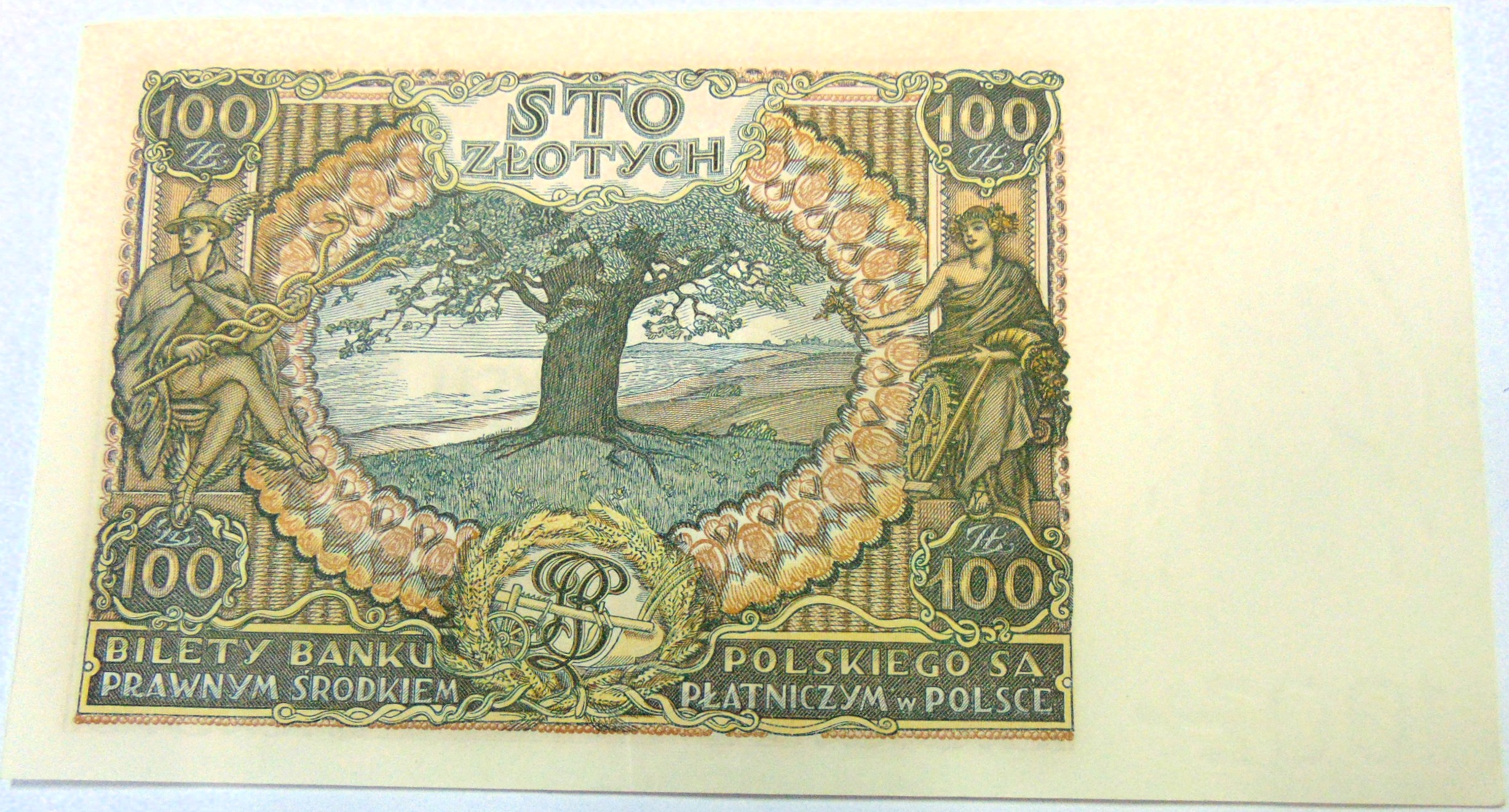 Zdjęcie 18118974917_1