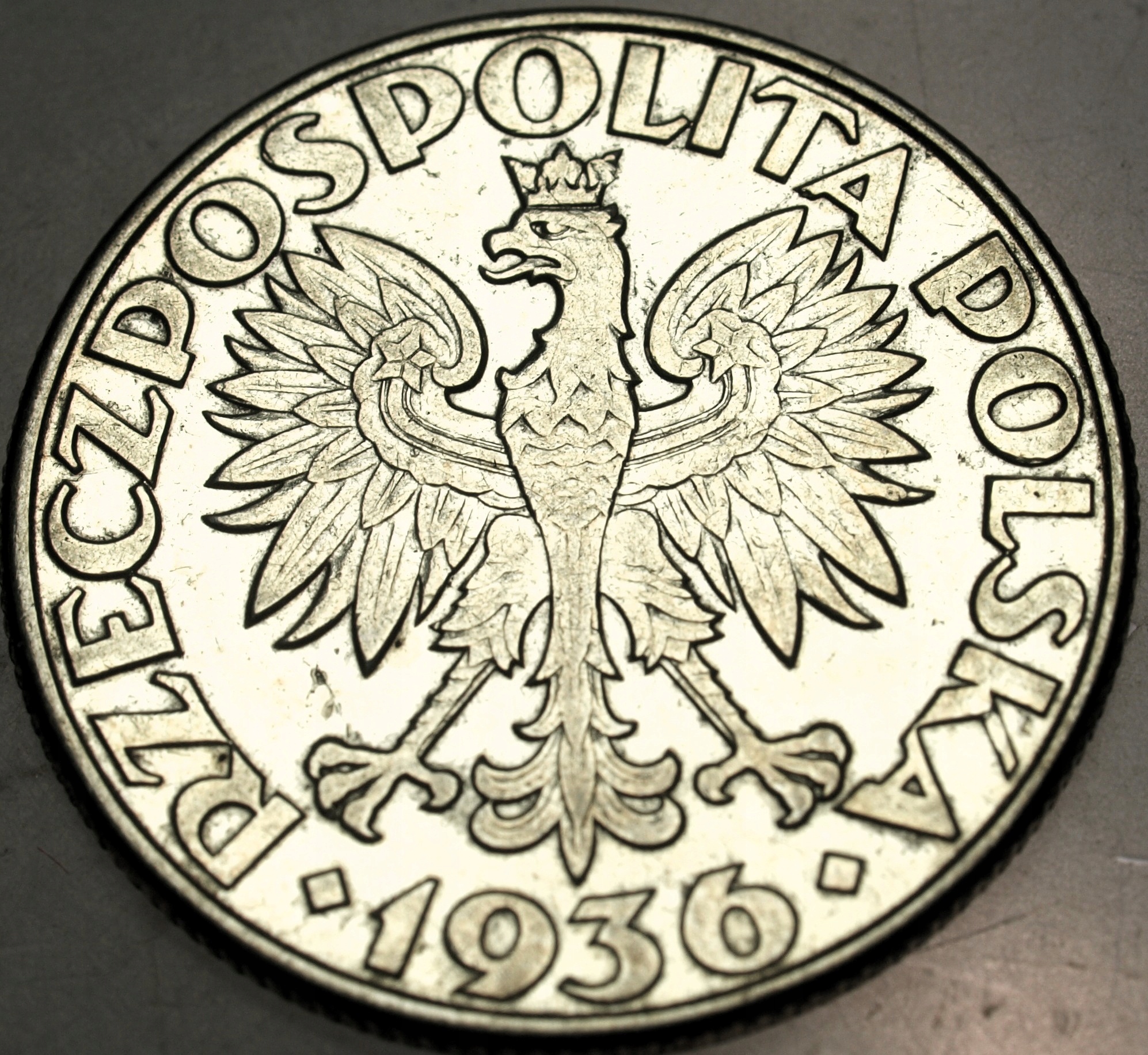 Zdjęcie 18121556576_1