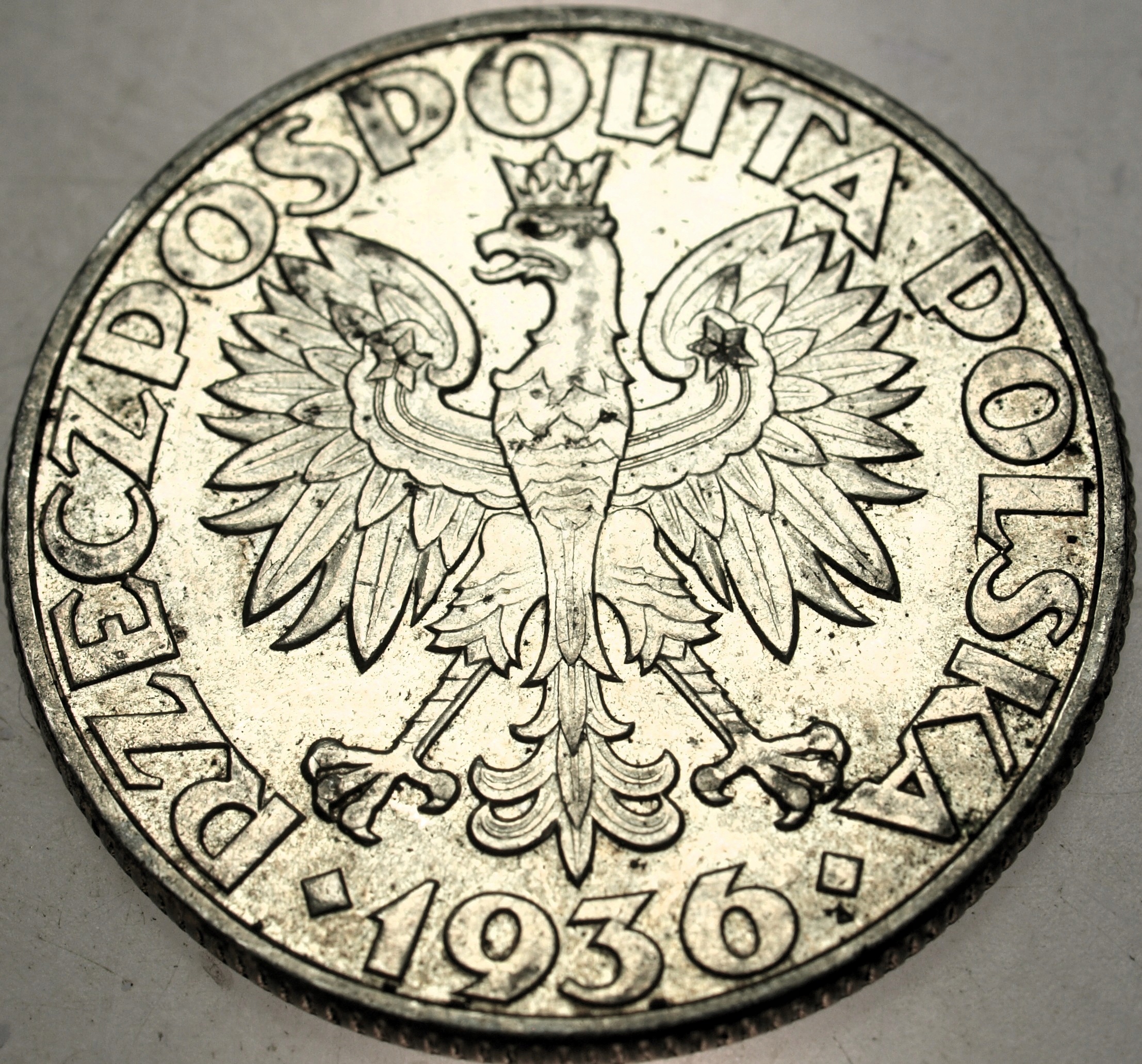 Zdjęcie 18121564299_1