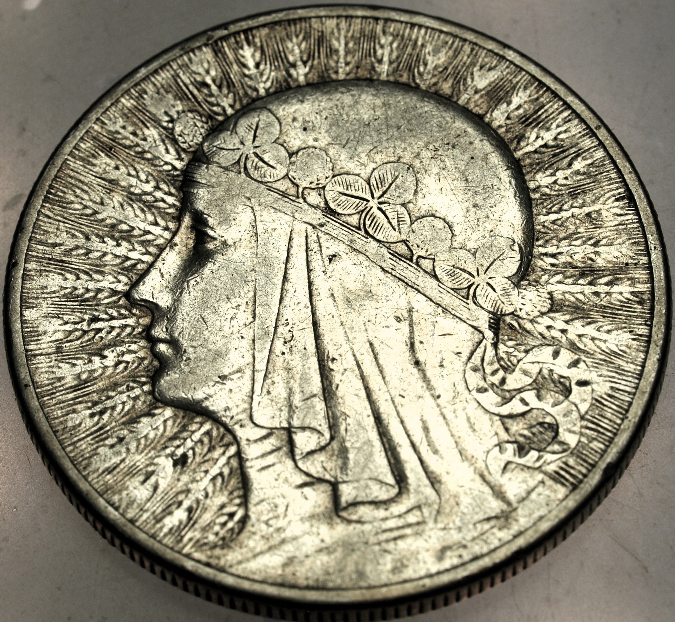 Zdjęcie 18121574318_0