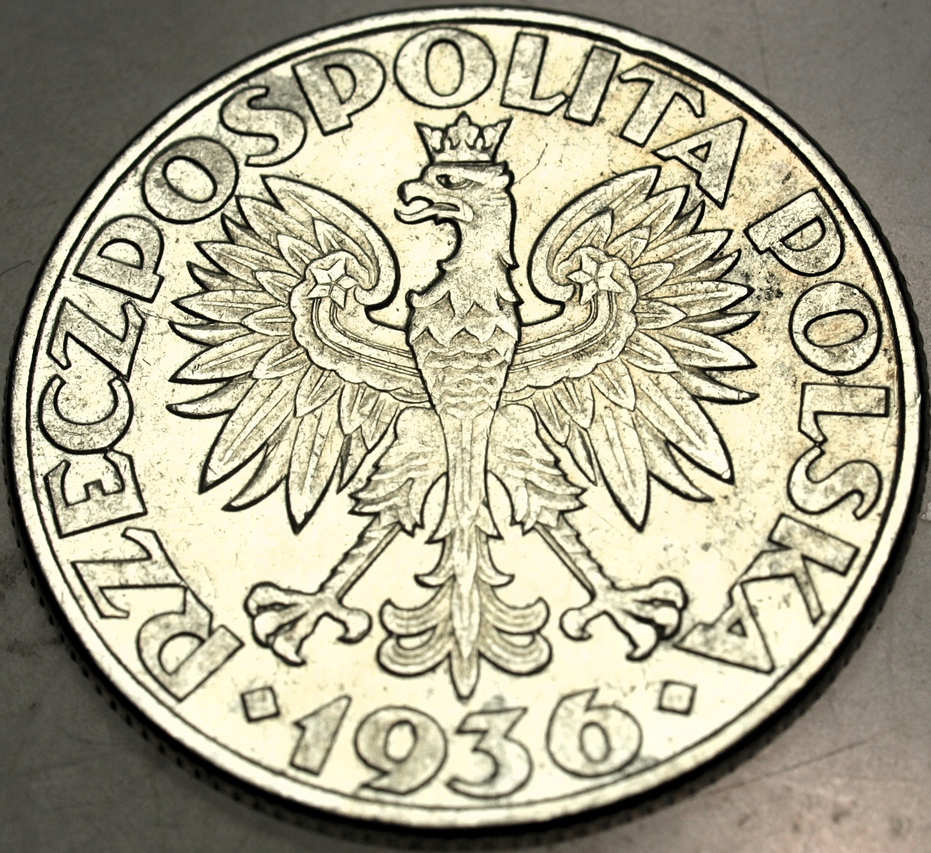 Zdjęcie 18121777367_1