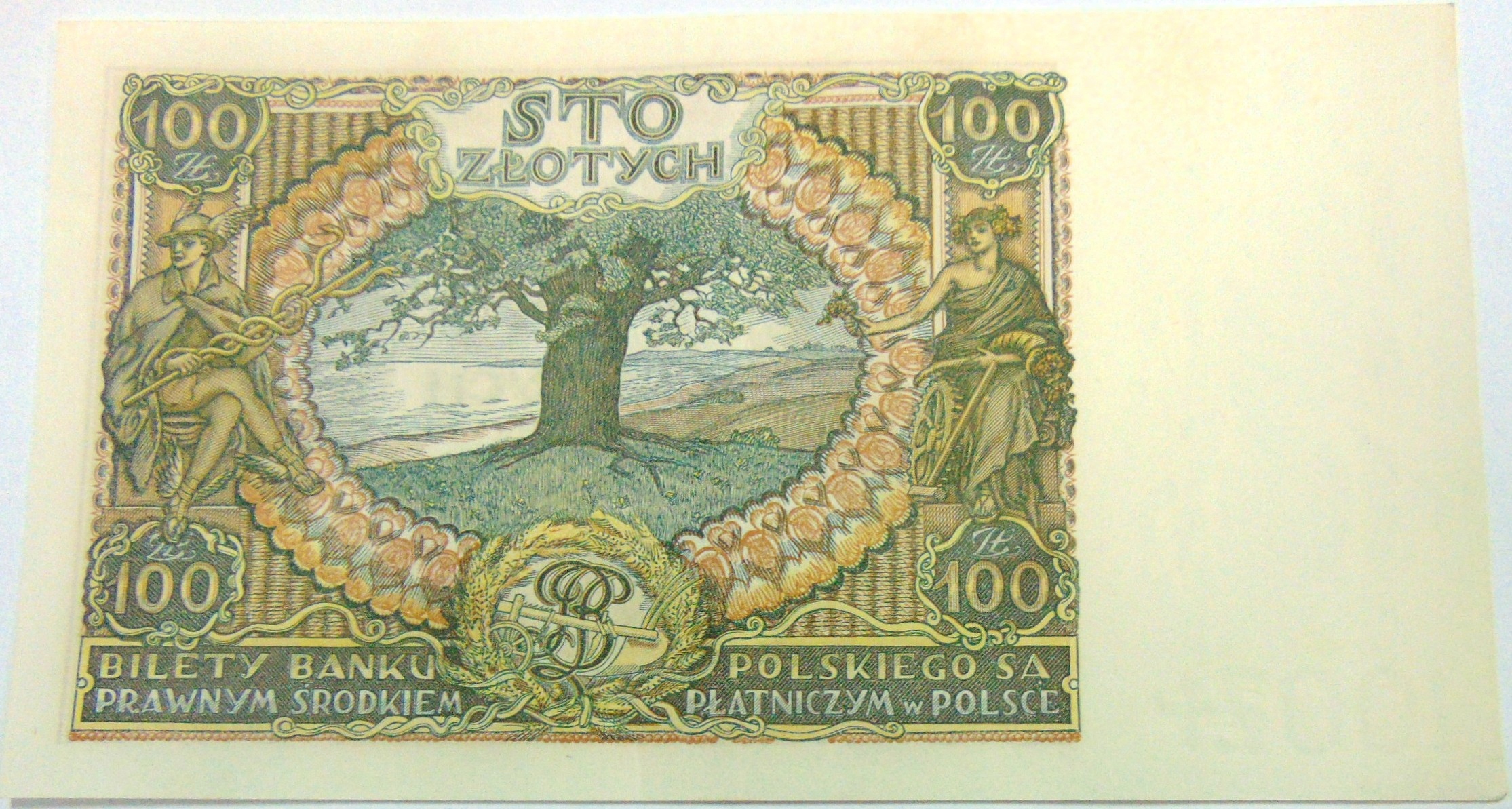 Zdjęcie 18136165412_1