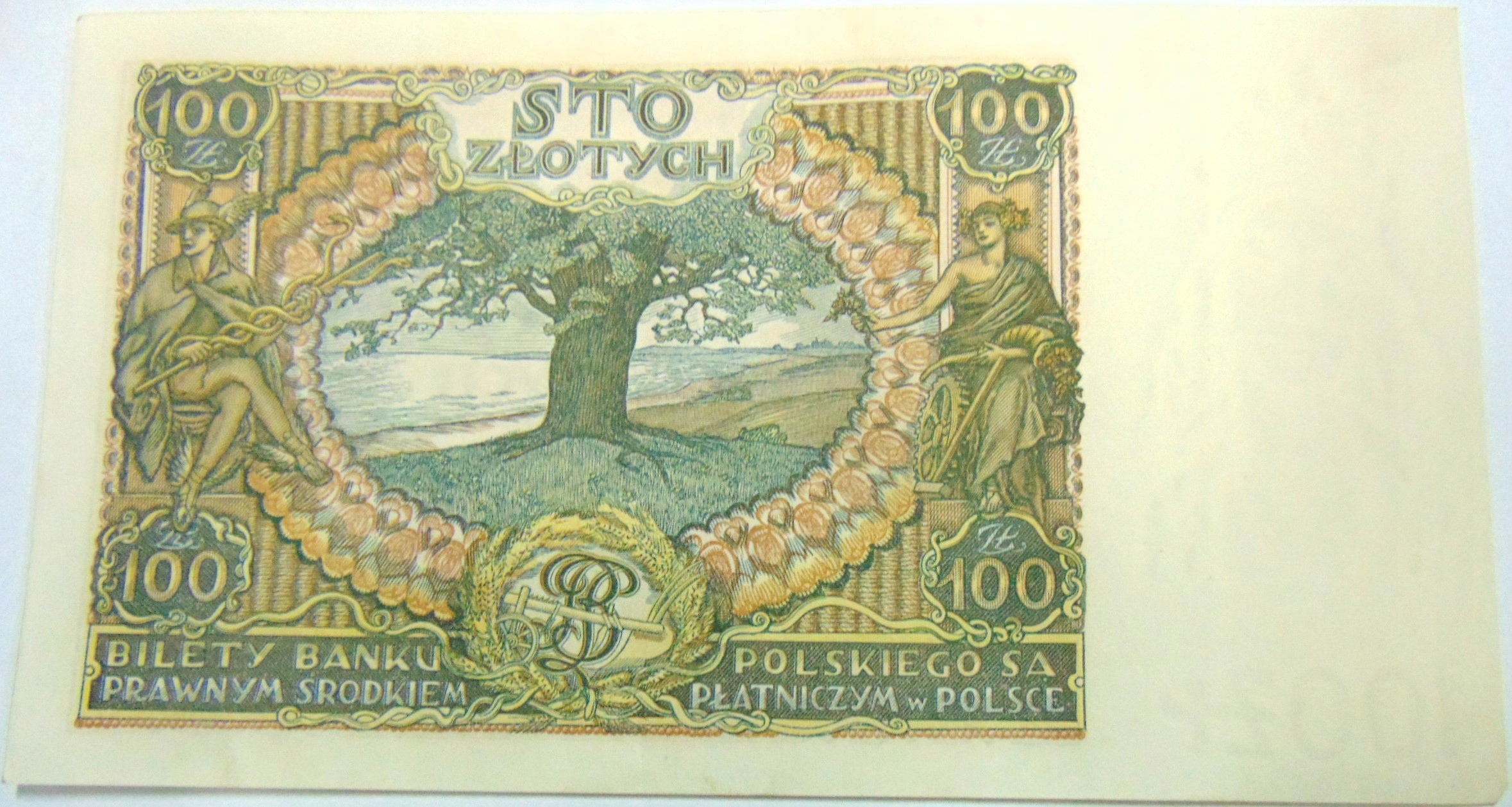 Zdjęcie 18136169145_1