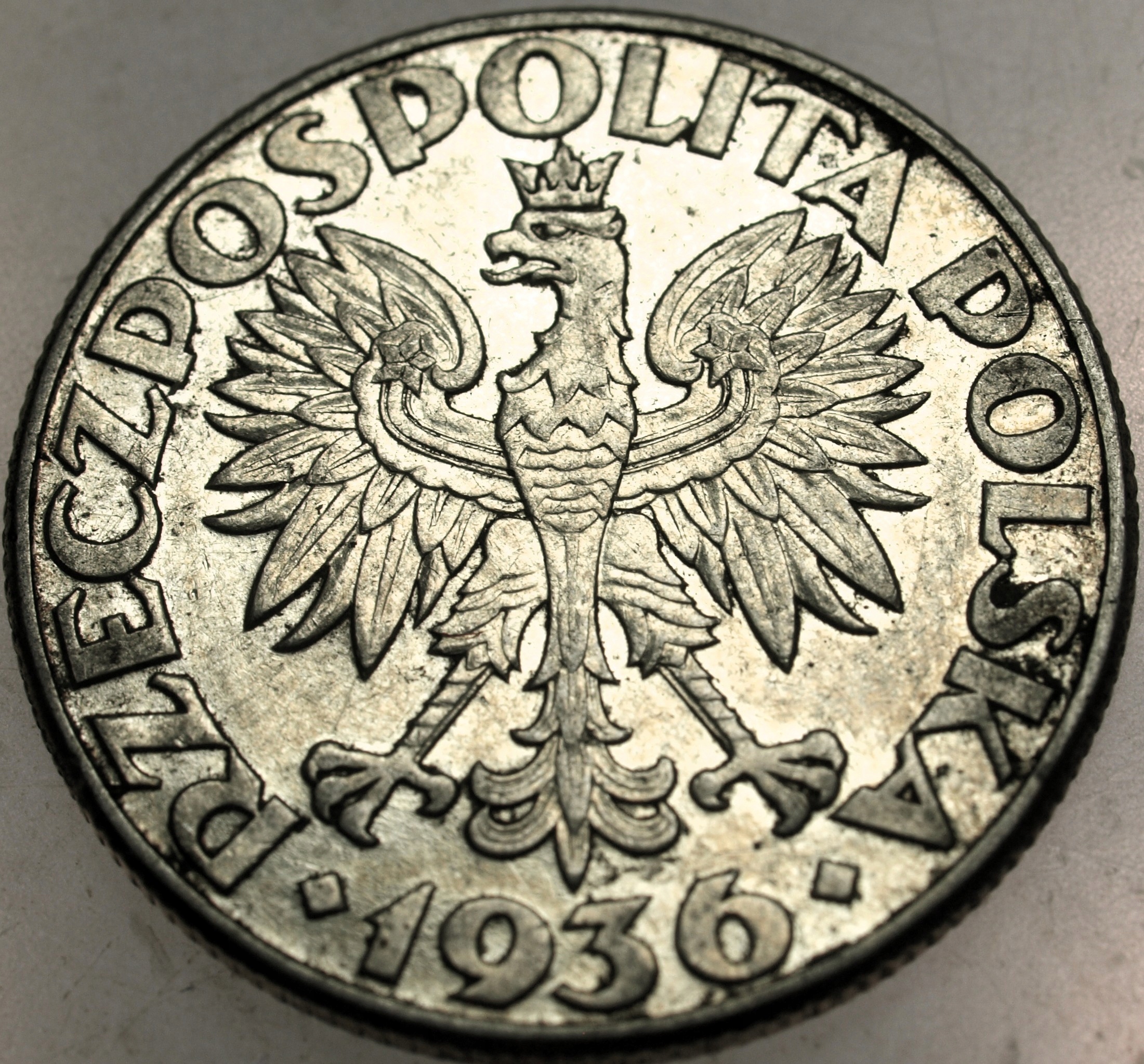 Zdjęcie 18136503043_1